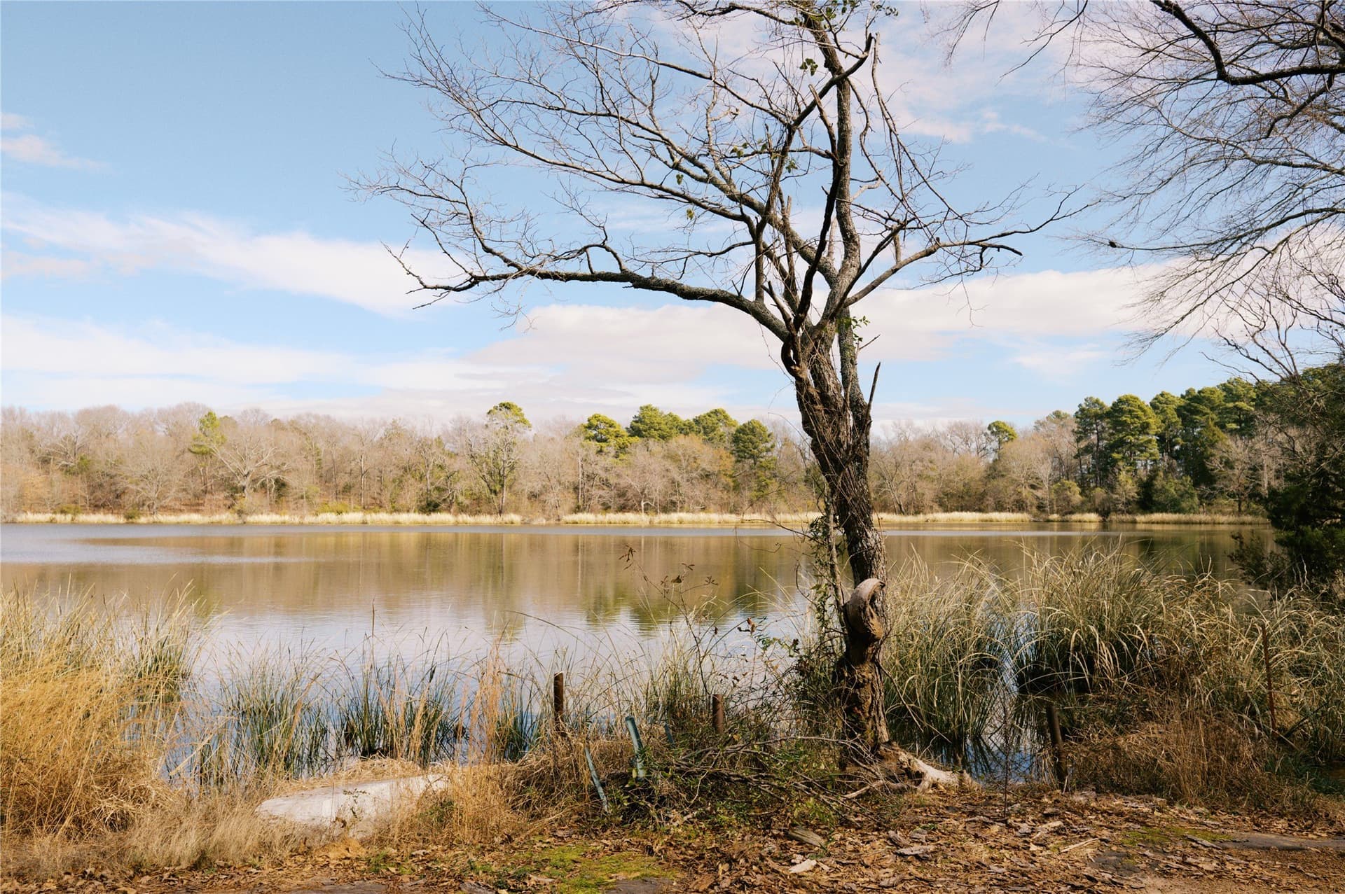 1.05 acres in Wood County - photo 17