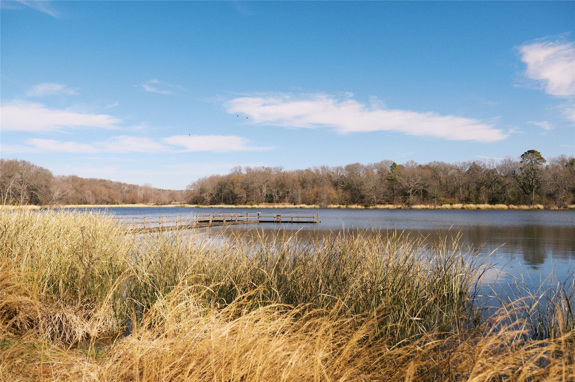 1.05 acres in Wood County - photo 11
