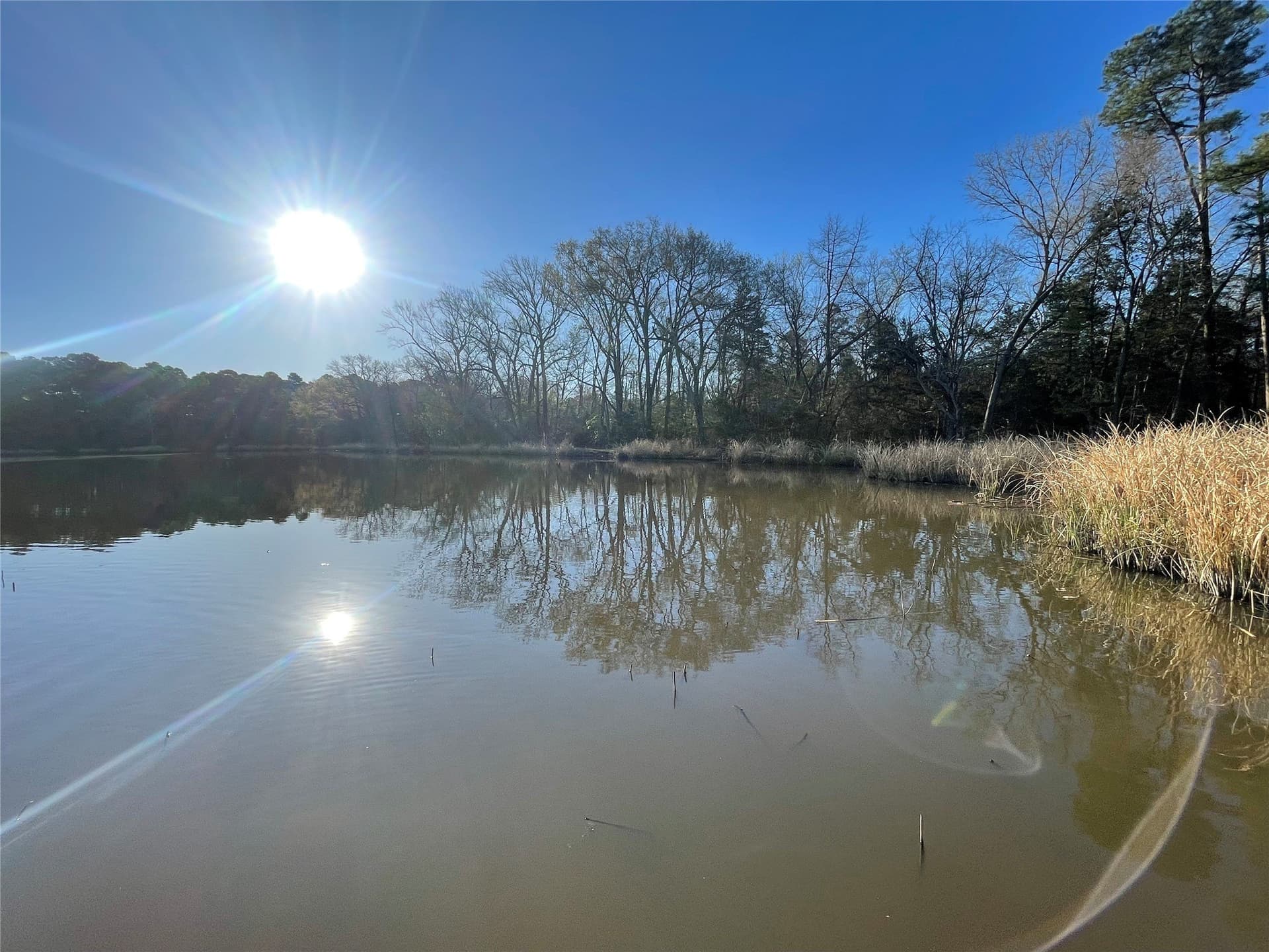 1.05 acres in Wood County - photo 22