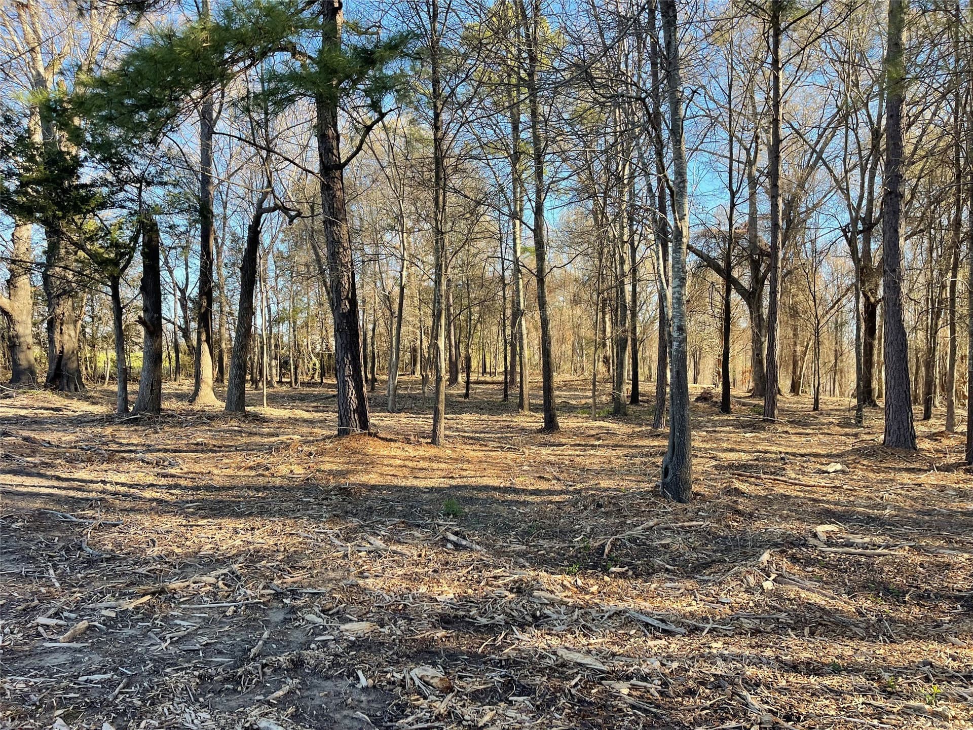 1.05 acres in Wood County - photo 7