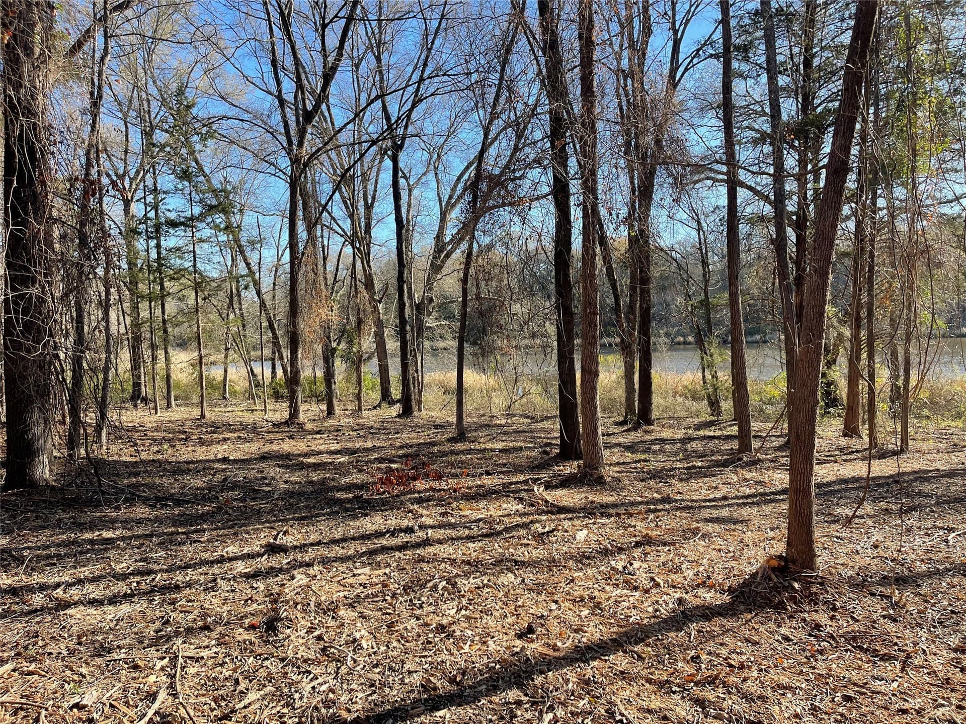 1.05 acres in Wood County - photo 28