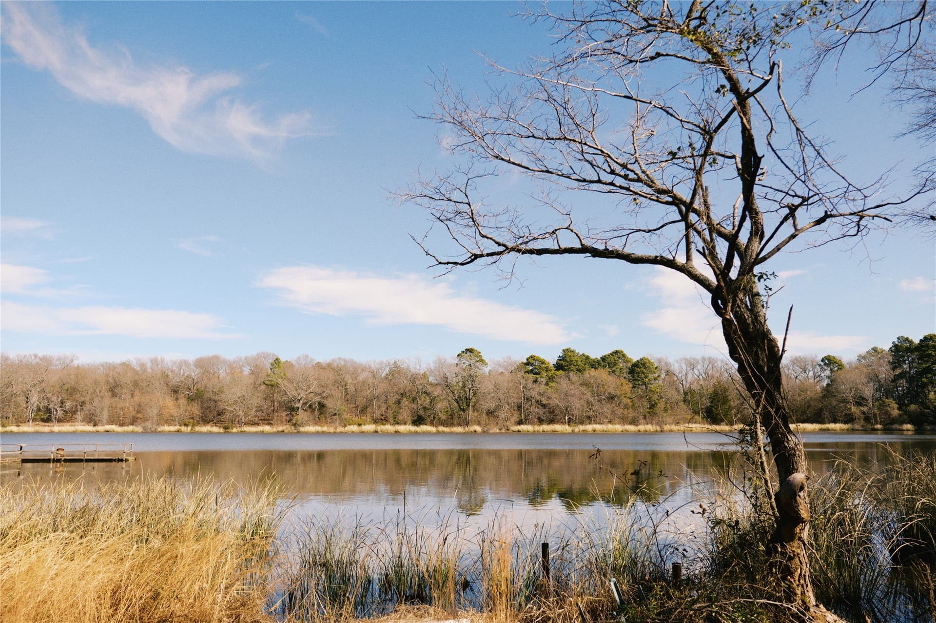 1.05 acres in Wood County - photo 13