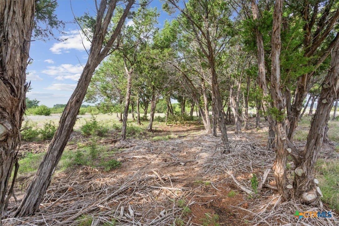 5.01 acres in Lampasas County gallery image 4