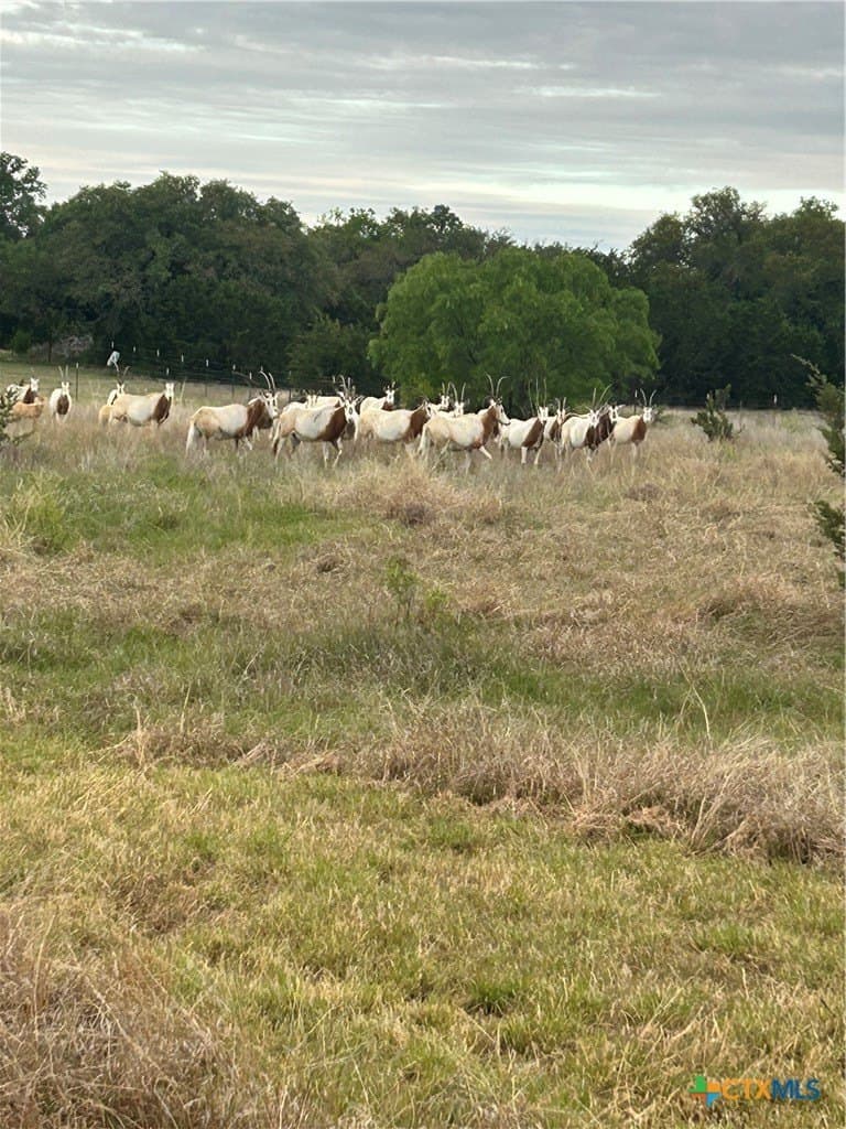5.01 acres in Lampasas County featured view
