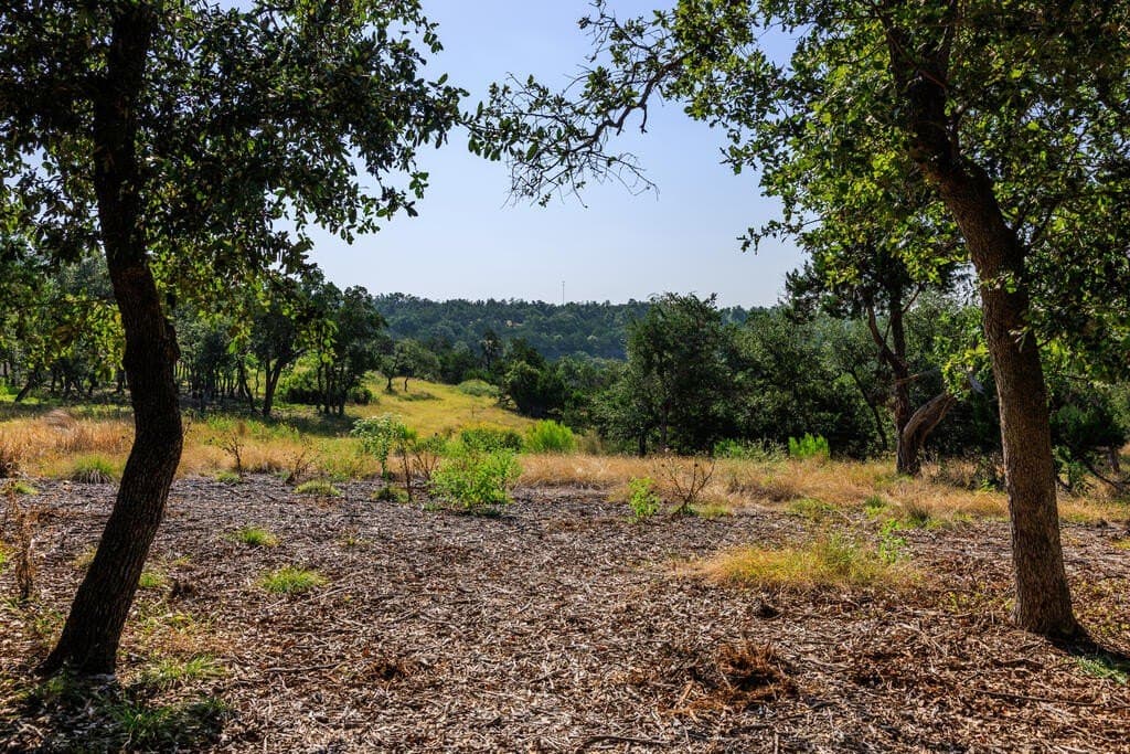 10 acres in Gillespie County - photo 21