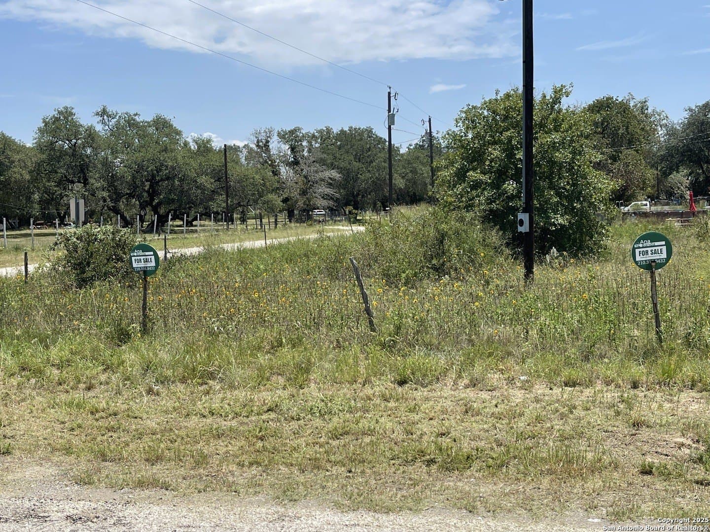0.79 acres in Atascosa County gallery image 4