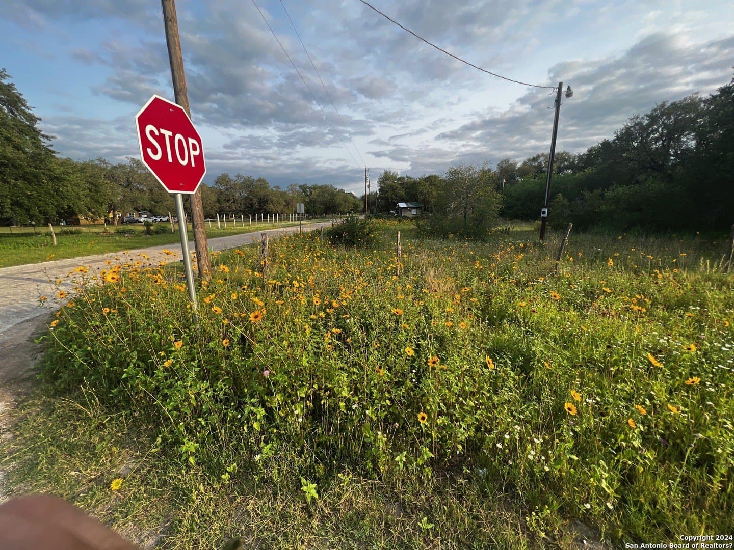 0.79 acres in Atascosa County featured view