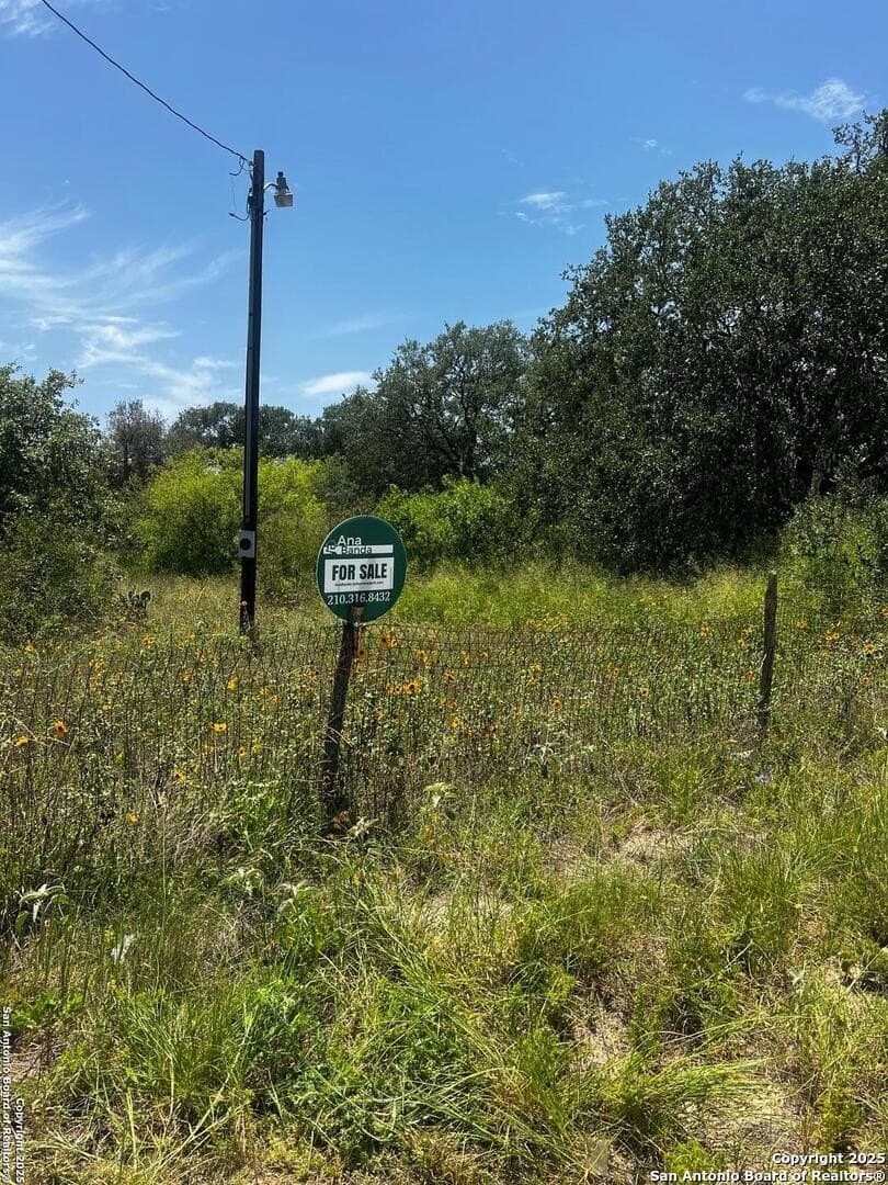 0.79 acres in Atascosa County gallery image 3