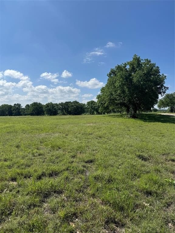 64.74 acres in Erath County gallery image 4
