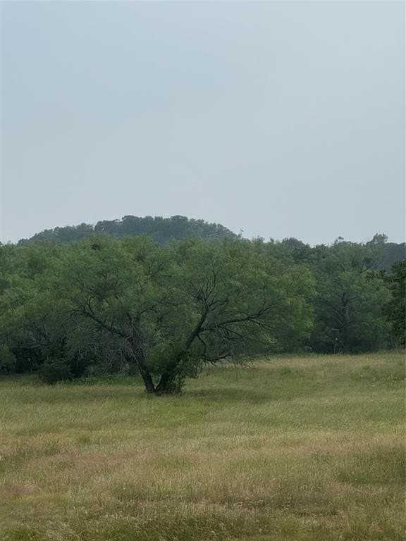 64.74 acres in Erath County gallery image 3