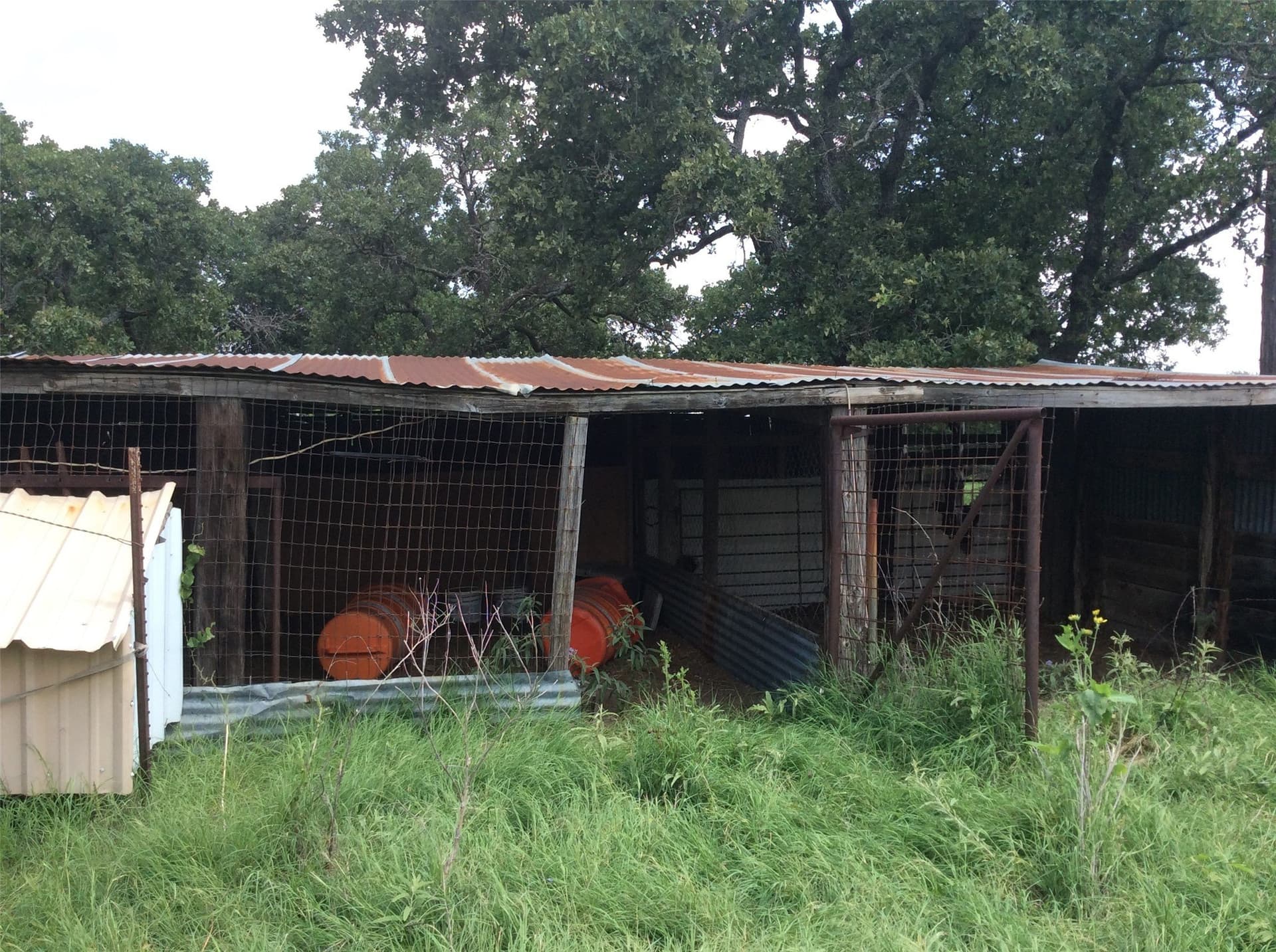 24 acres in Callahan County - photo 29