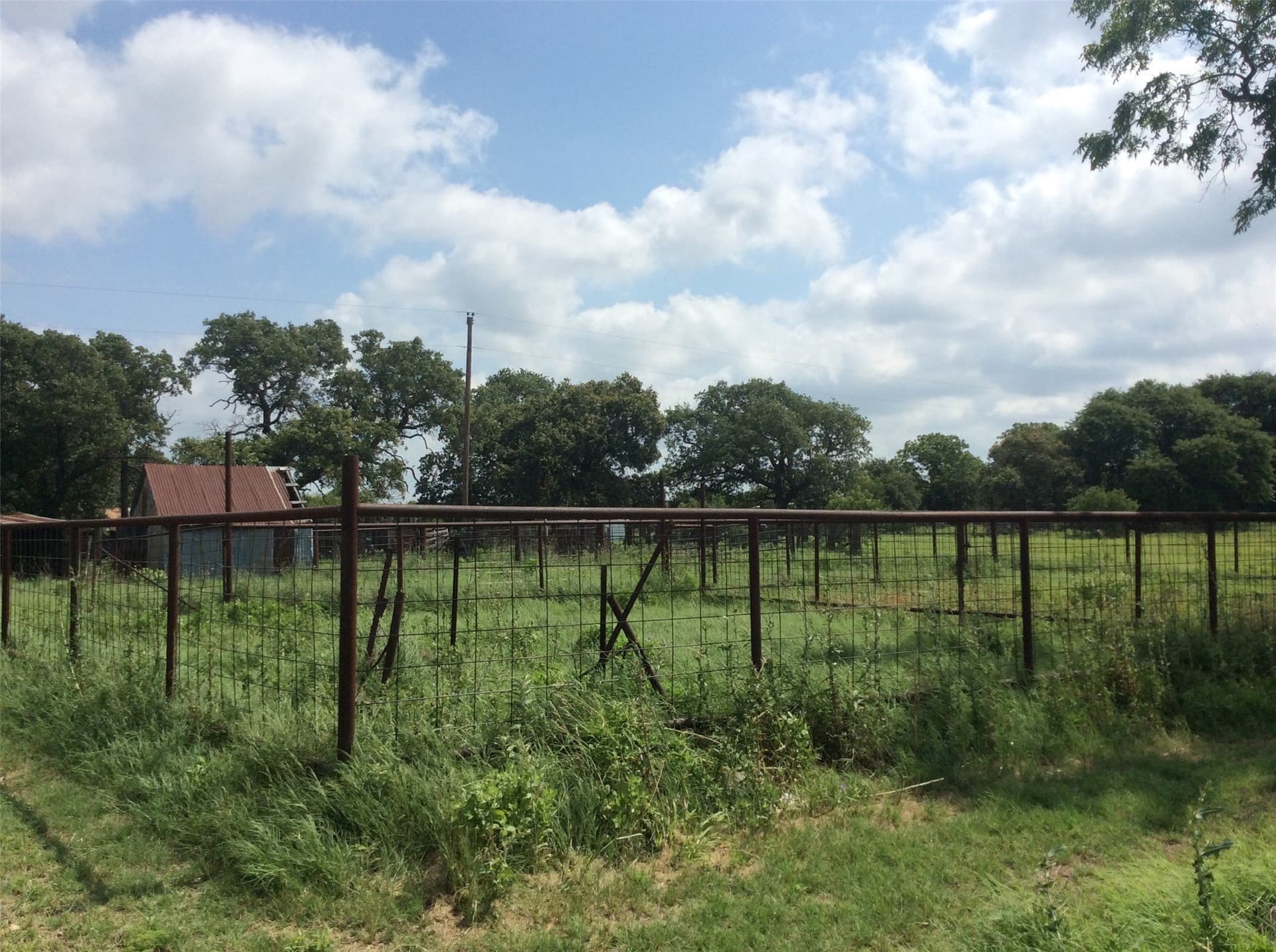 24 acres in Callahan County - photo 26