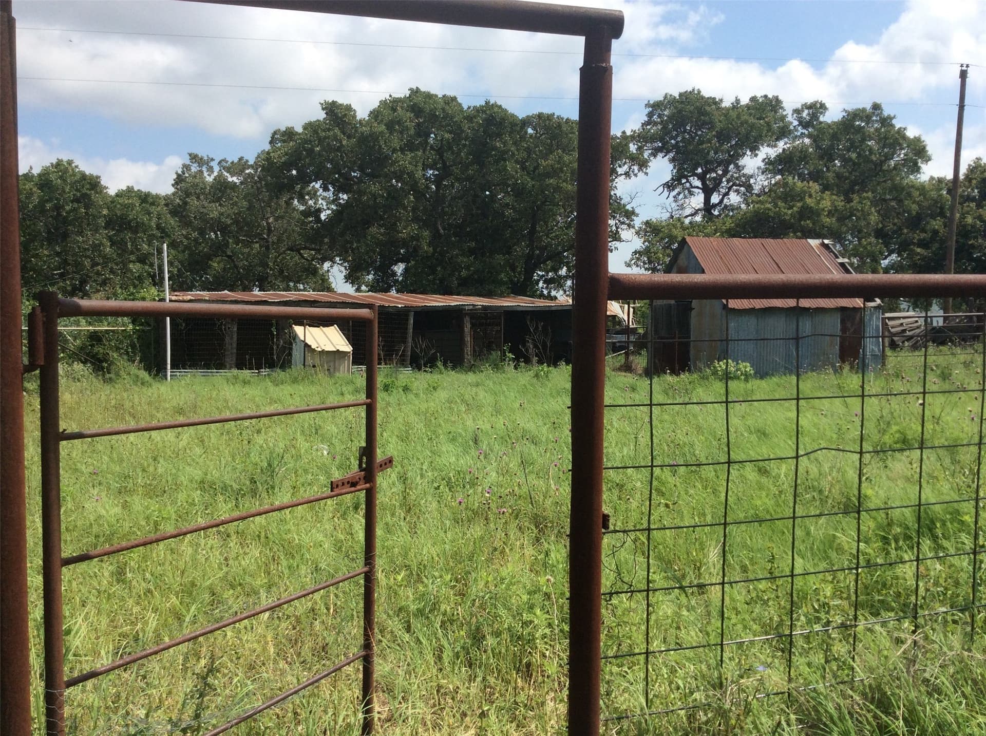 24 acres in Callahan County - photo 27