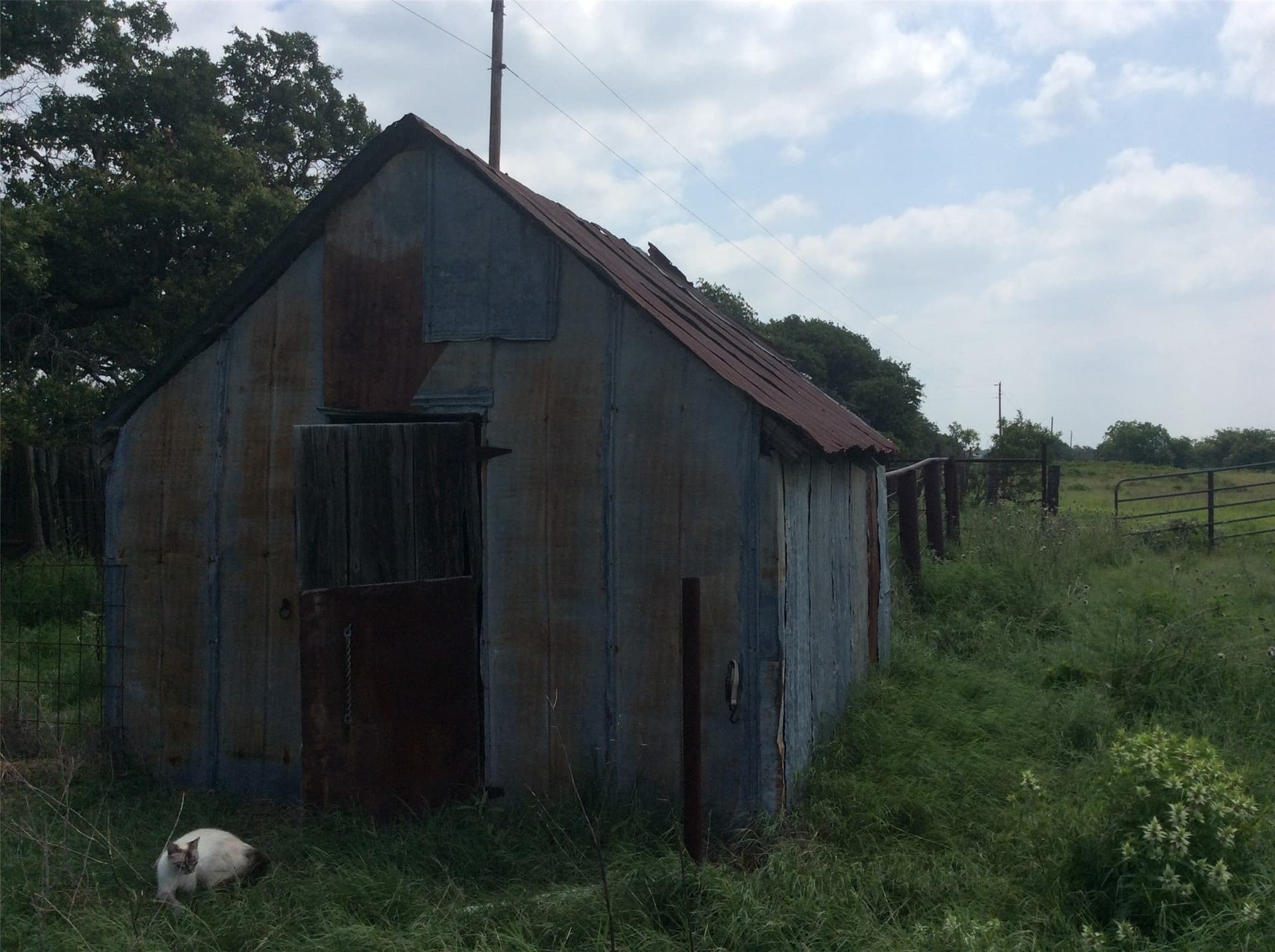 24 acres in Callahan County - photo 30