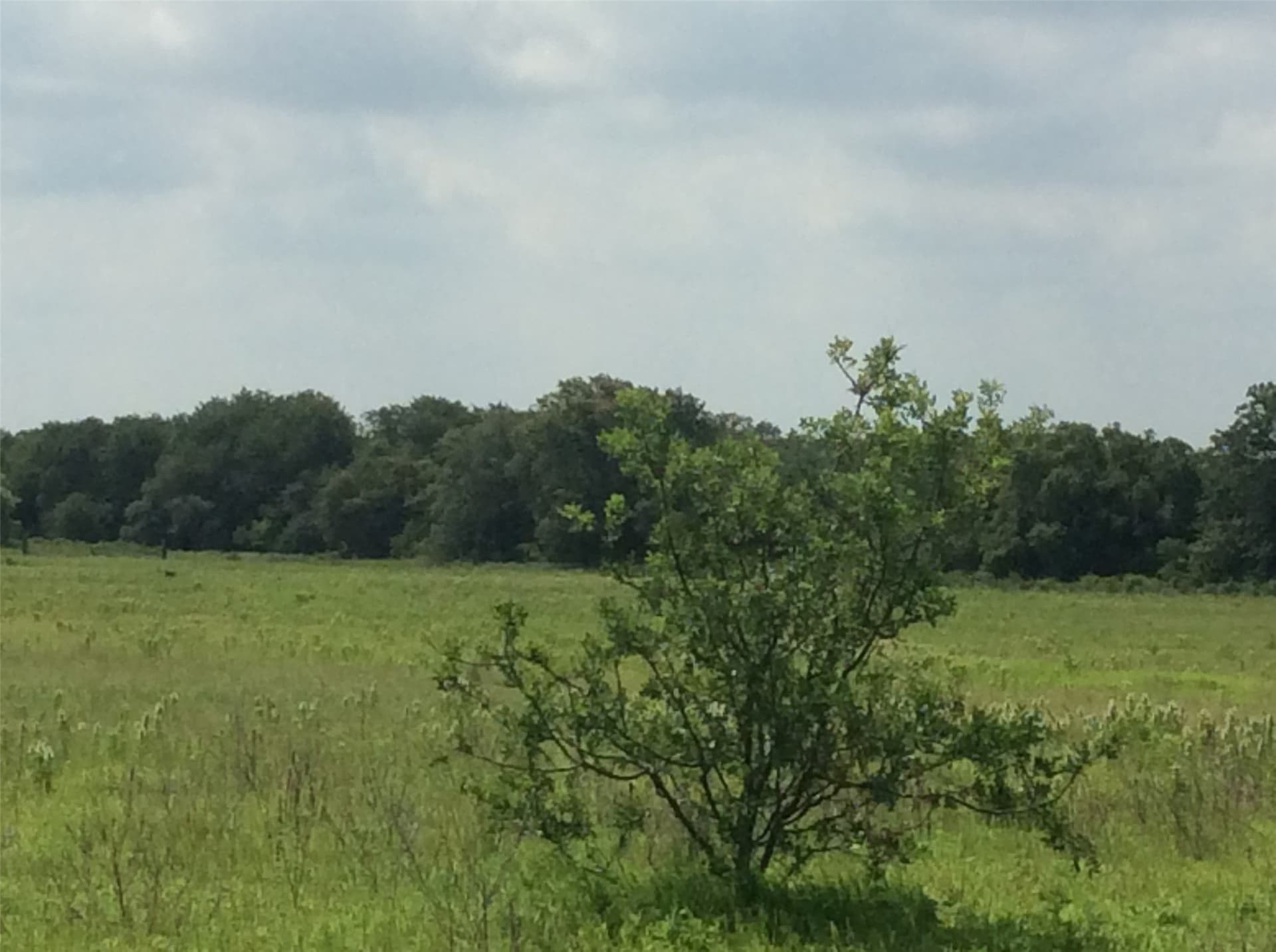 24 acres in Callahan County - photo 34