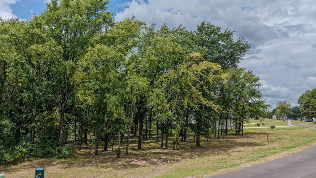 0.71 acres in Kaufman County - photo 16