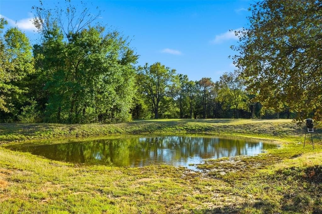 14.21 acres in Grayson County gallery image 4