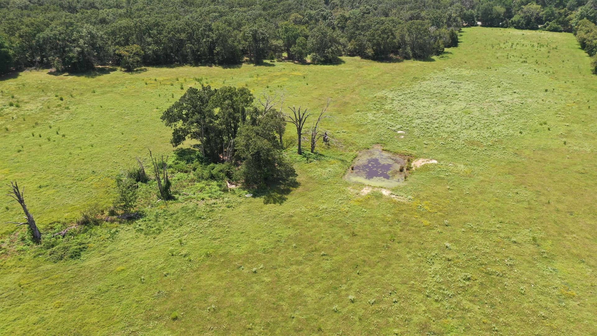 14.45 acres in Texas County - photo 6