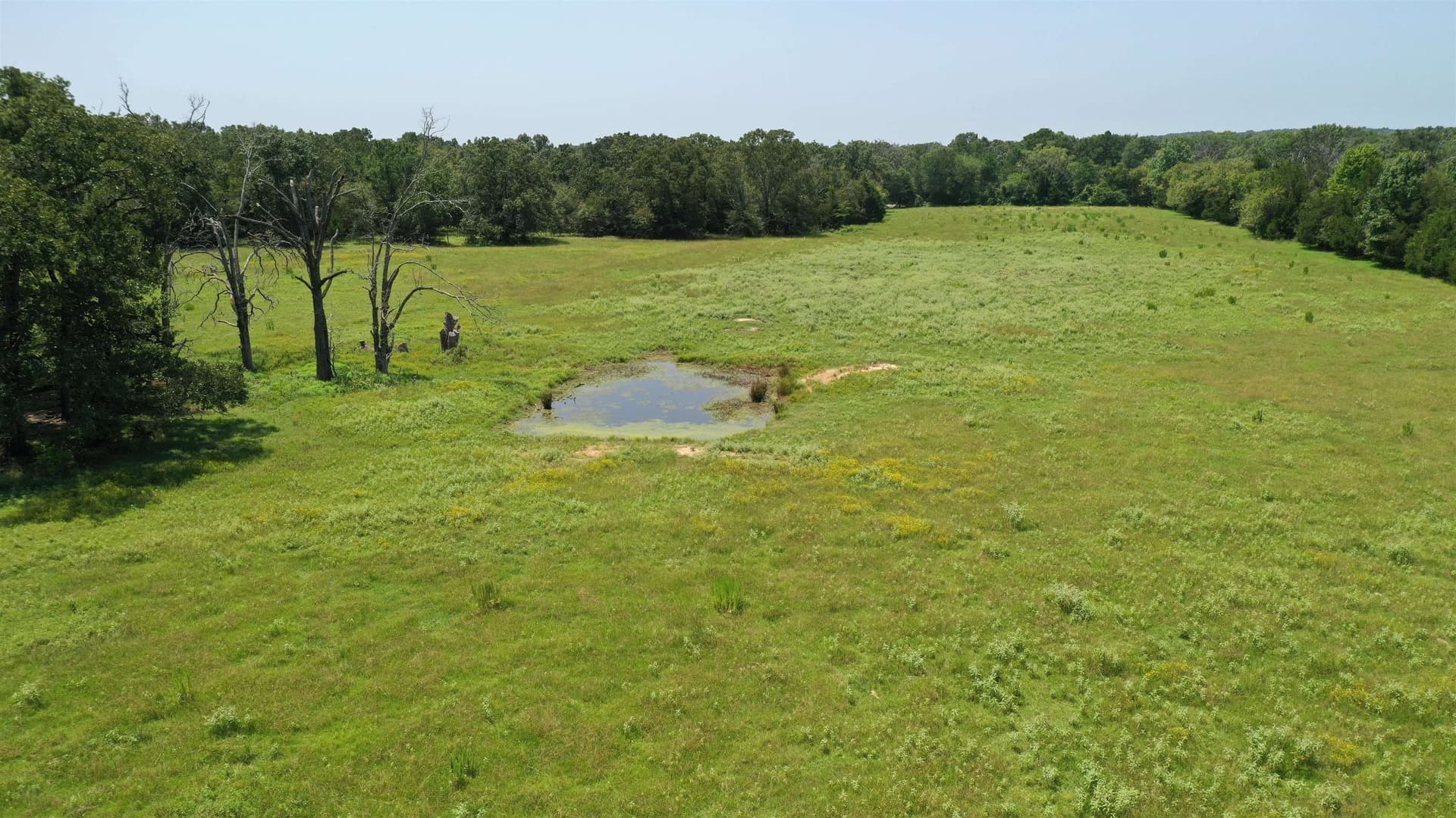 14.45 acres in Texas County - photo 10
