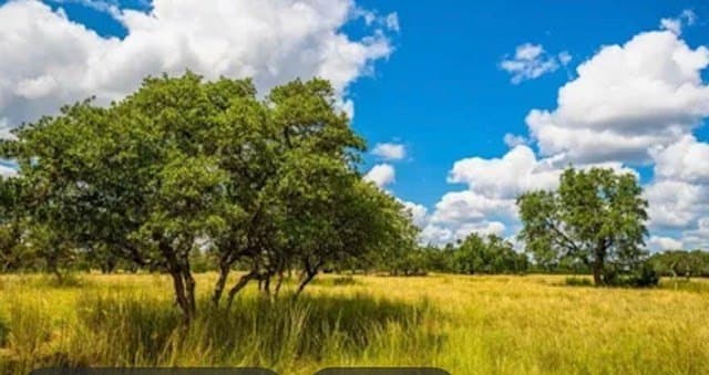 18.41 acres in Kimble County gallery image 3