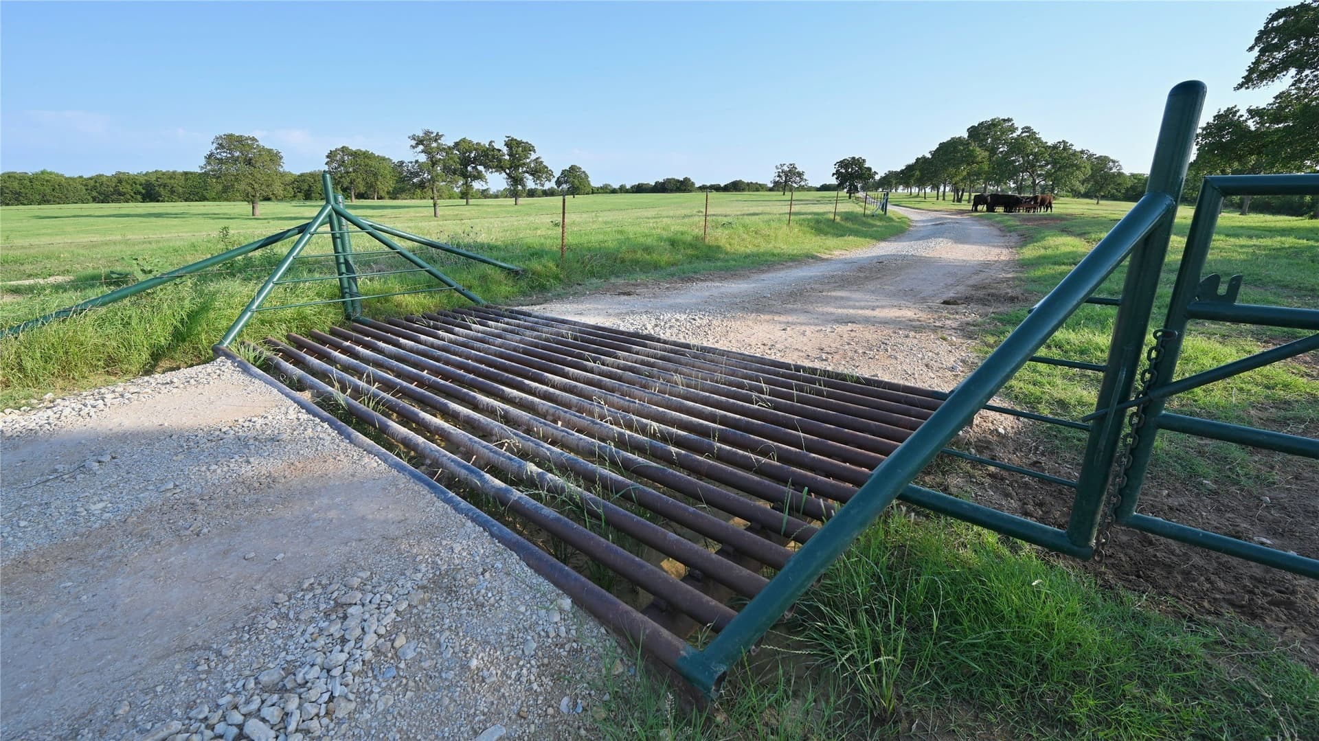 320.27 acres in Montague County - photo 26