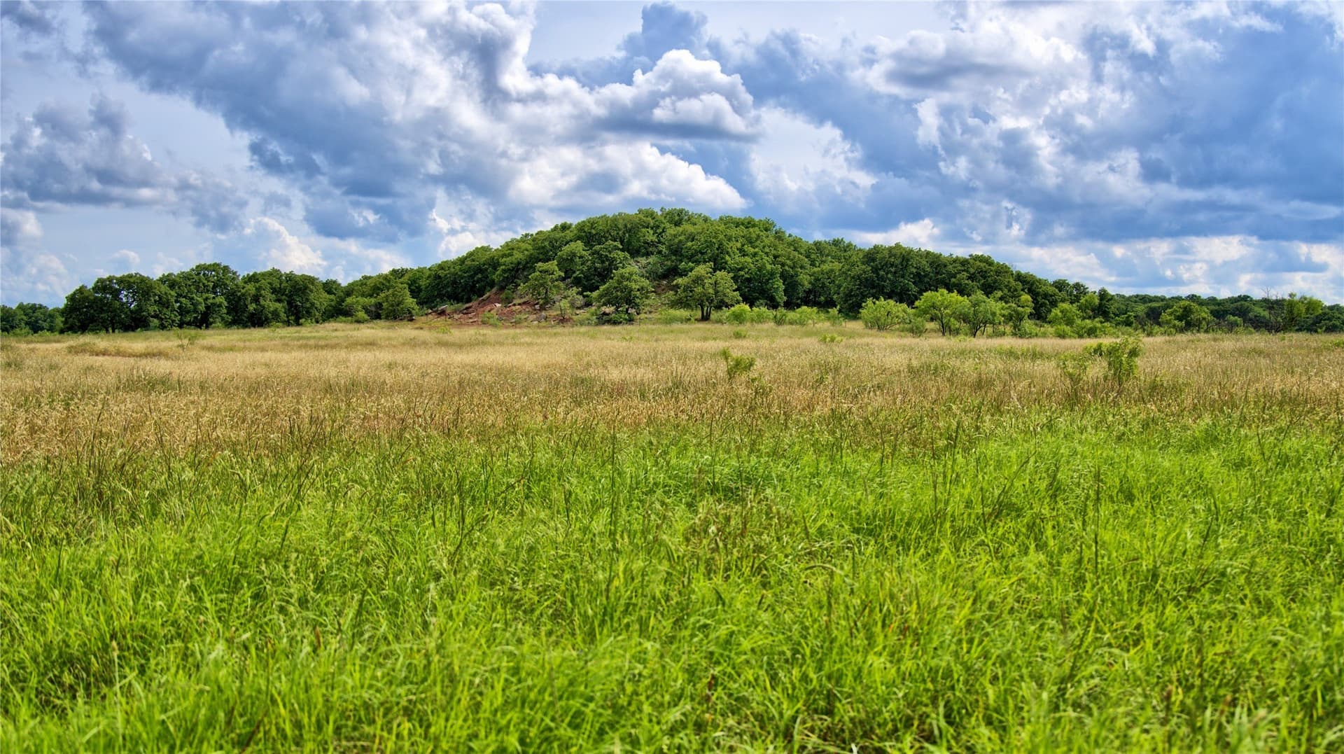 320.27 acres in Montague County gallery image 3