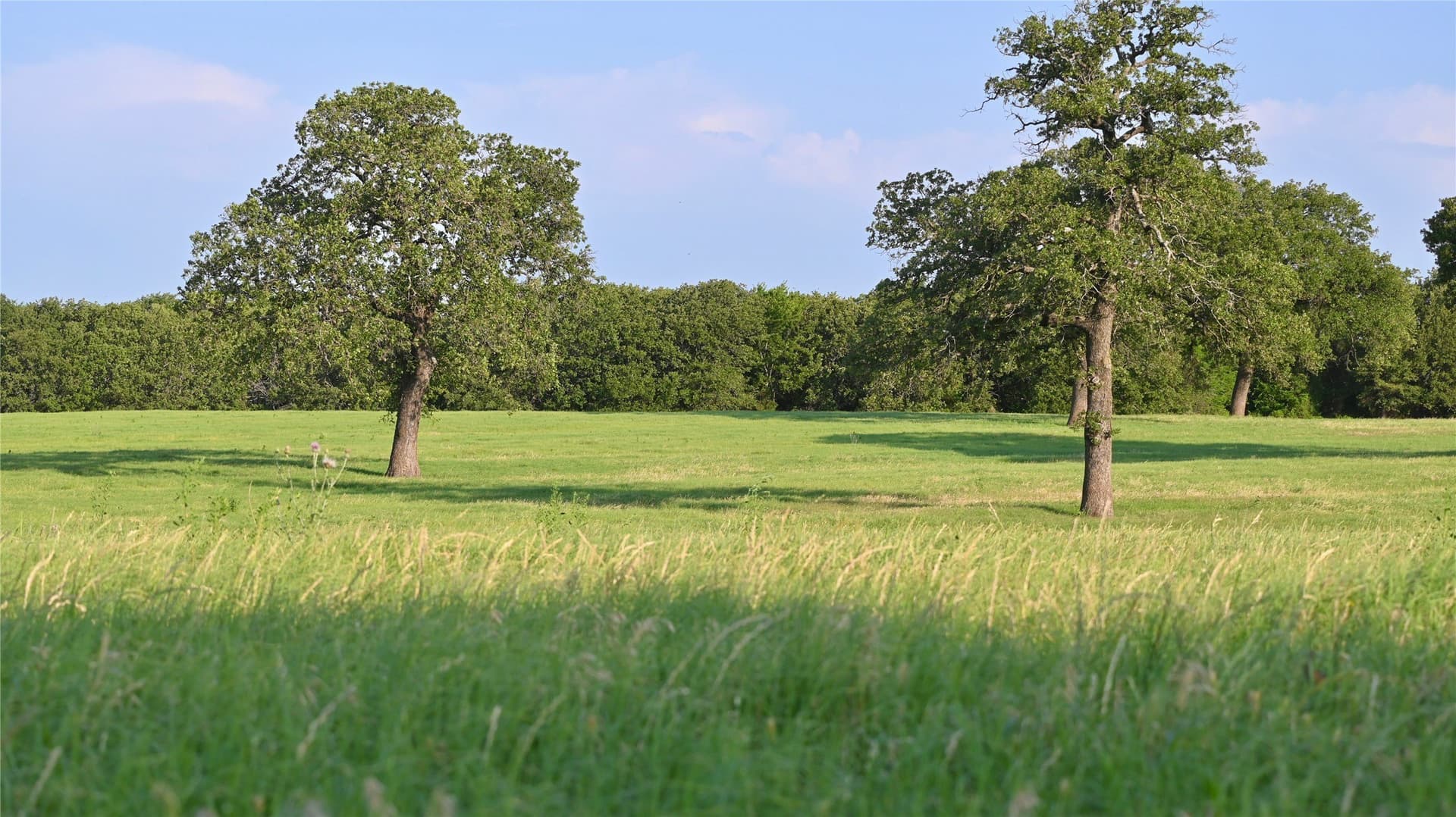 320.27 acres in Montague County - photo 40