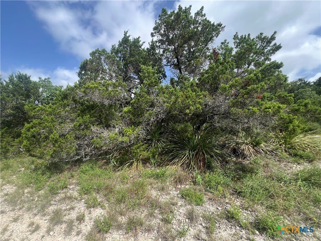0.12 acres in Comal County gallery image 3