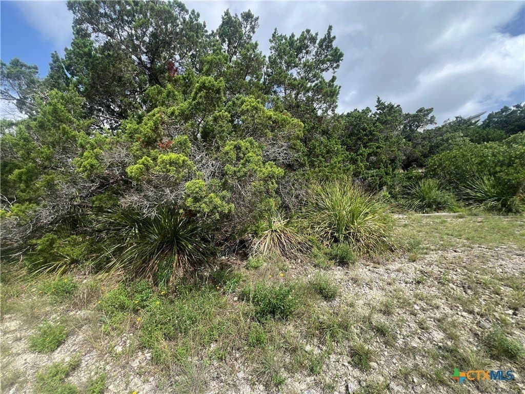 0.12 acres in Comal County - photo 6