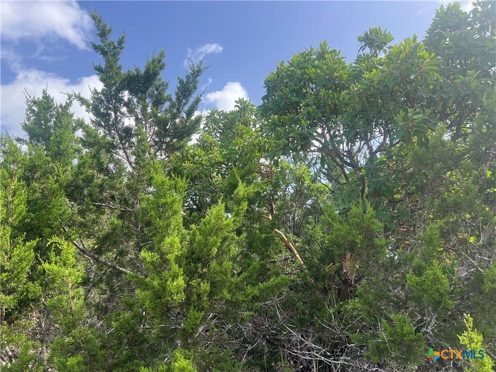0.12 acres in Comal County - photo 8
