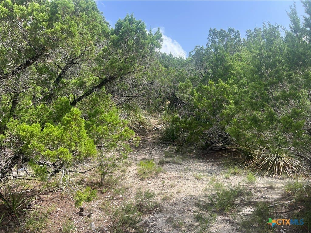 0.12 acres in Comal County - photo 7