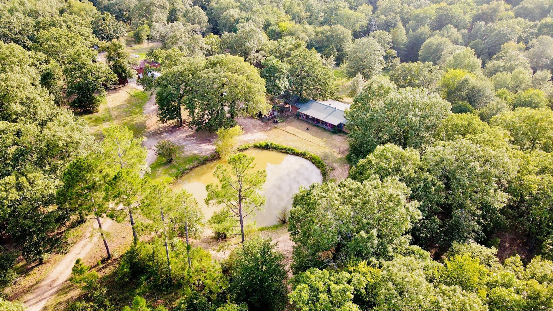 30.29 acres in Lamar County gallery image 4
