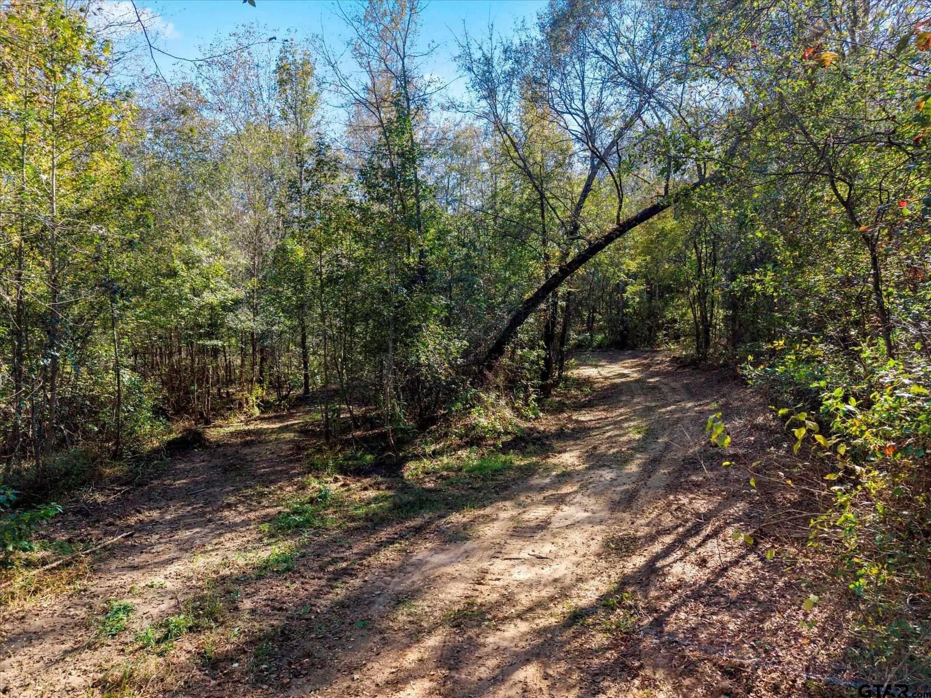 28.13 acres in Upshur County - photo 16