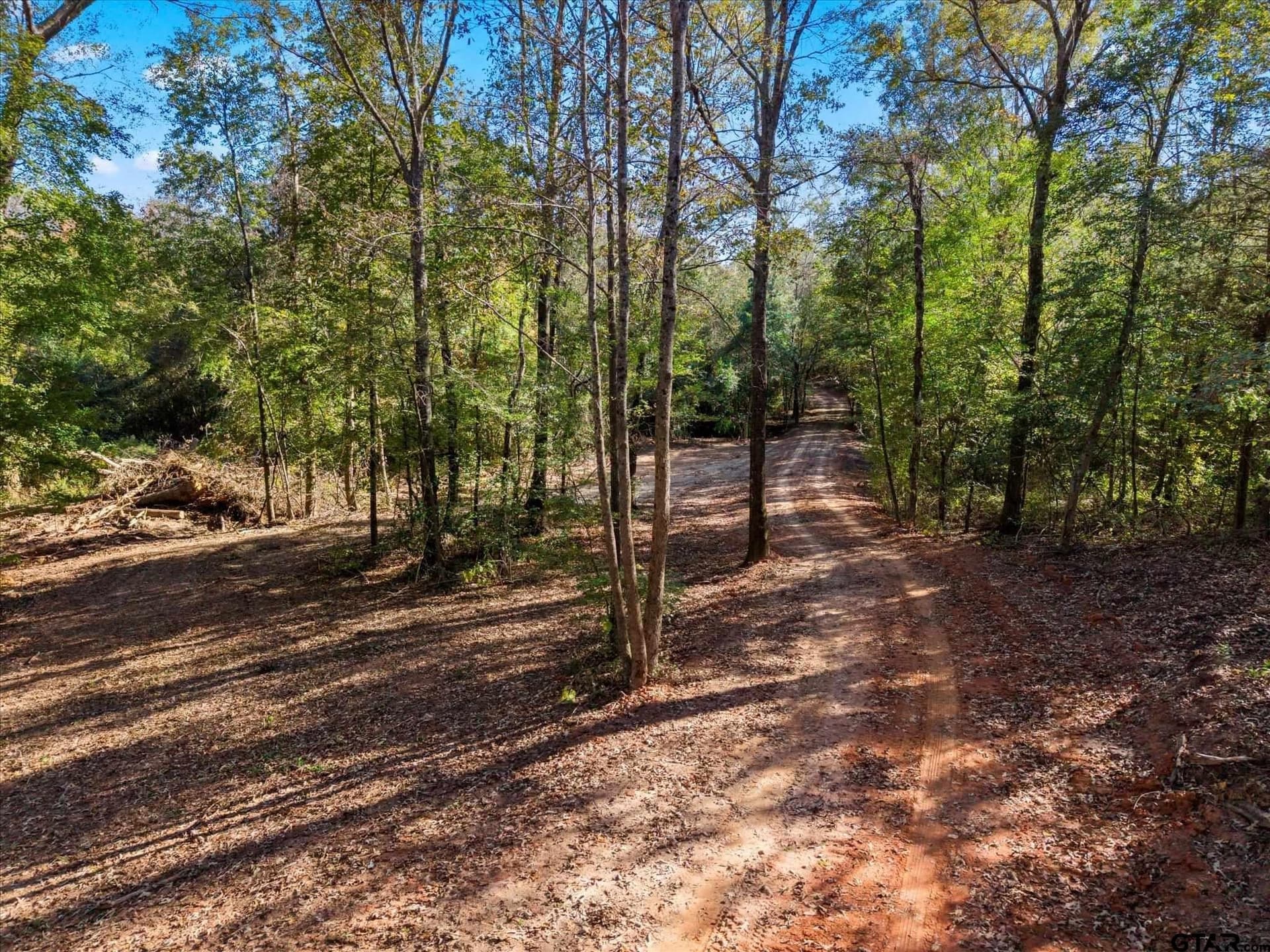 28.13 acres in Upshur County - photo 13