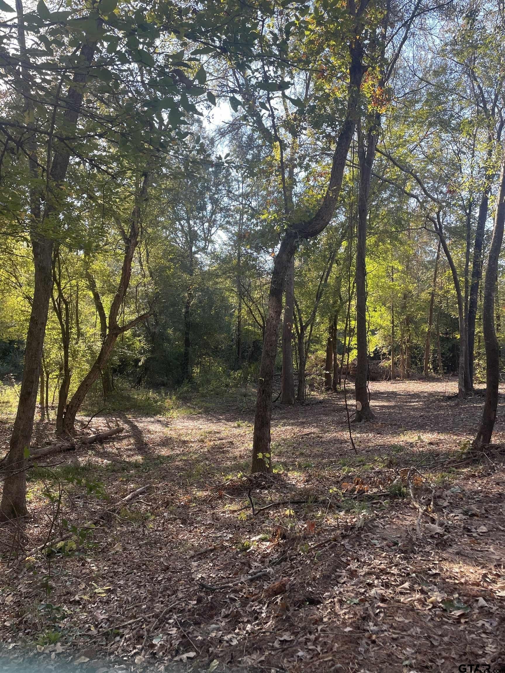 28.13 acres in Upshur County - photo 9