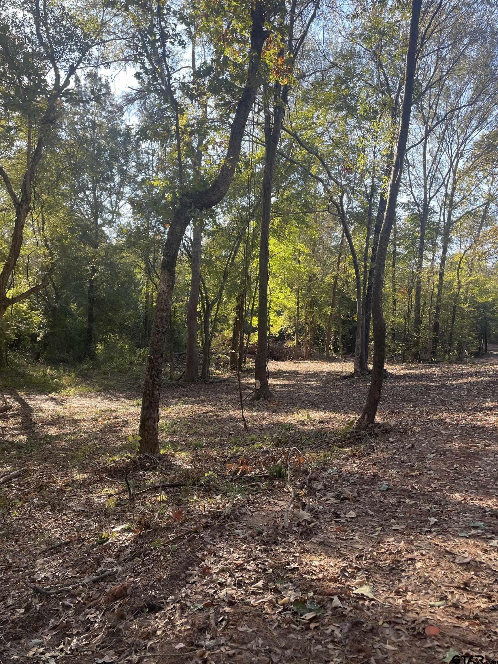 28.13 acres in Upshur County - photo 8