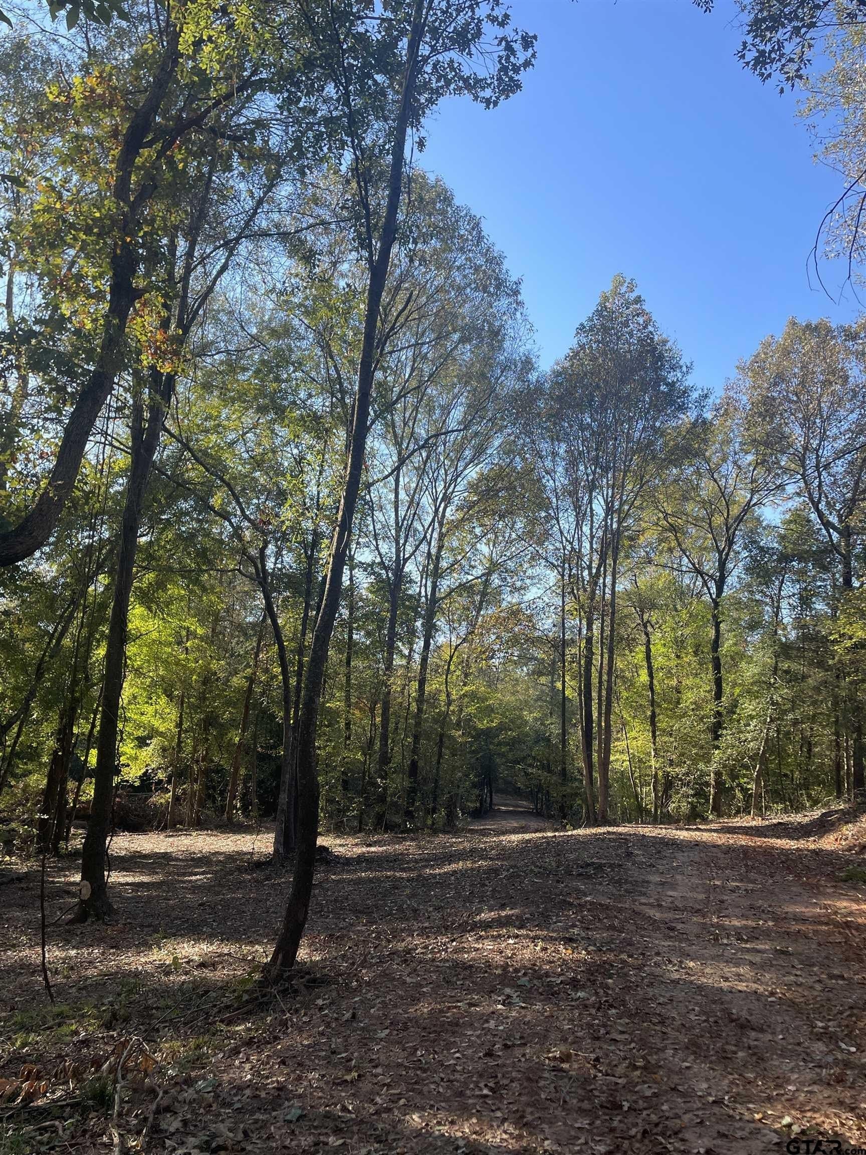 28.13 acres in Upshur County - photo 36