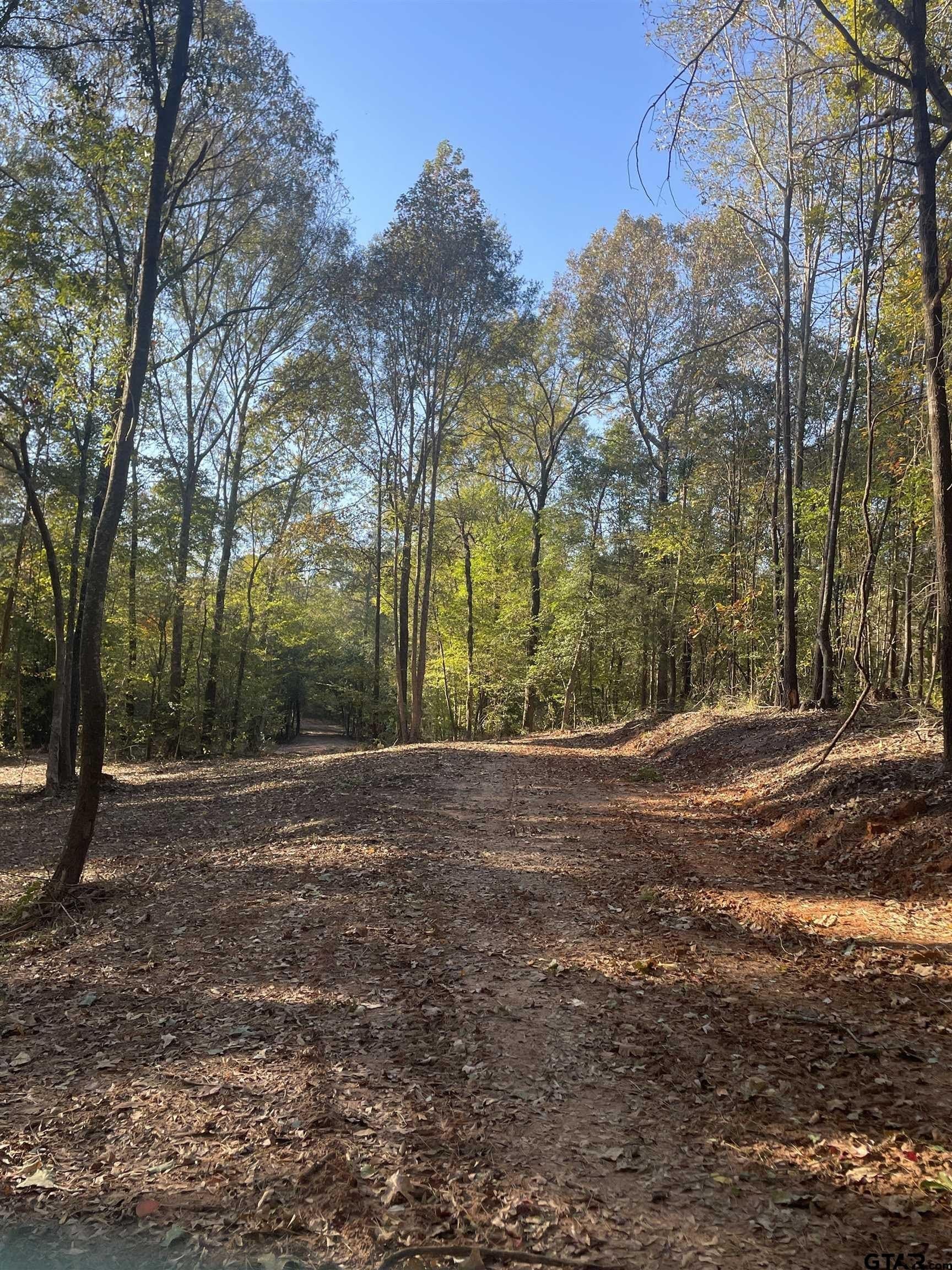28.13 acres in Upshur County