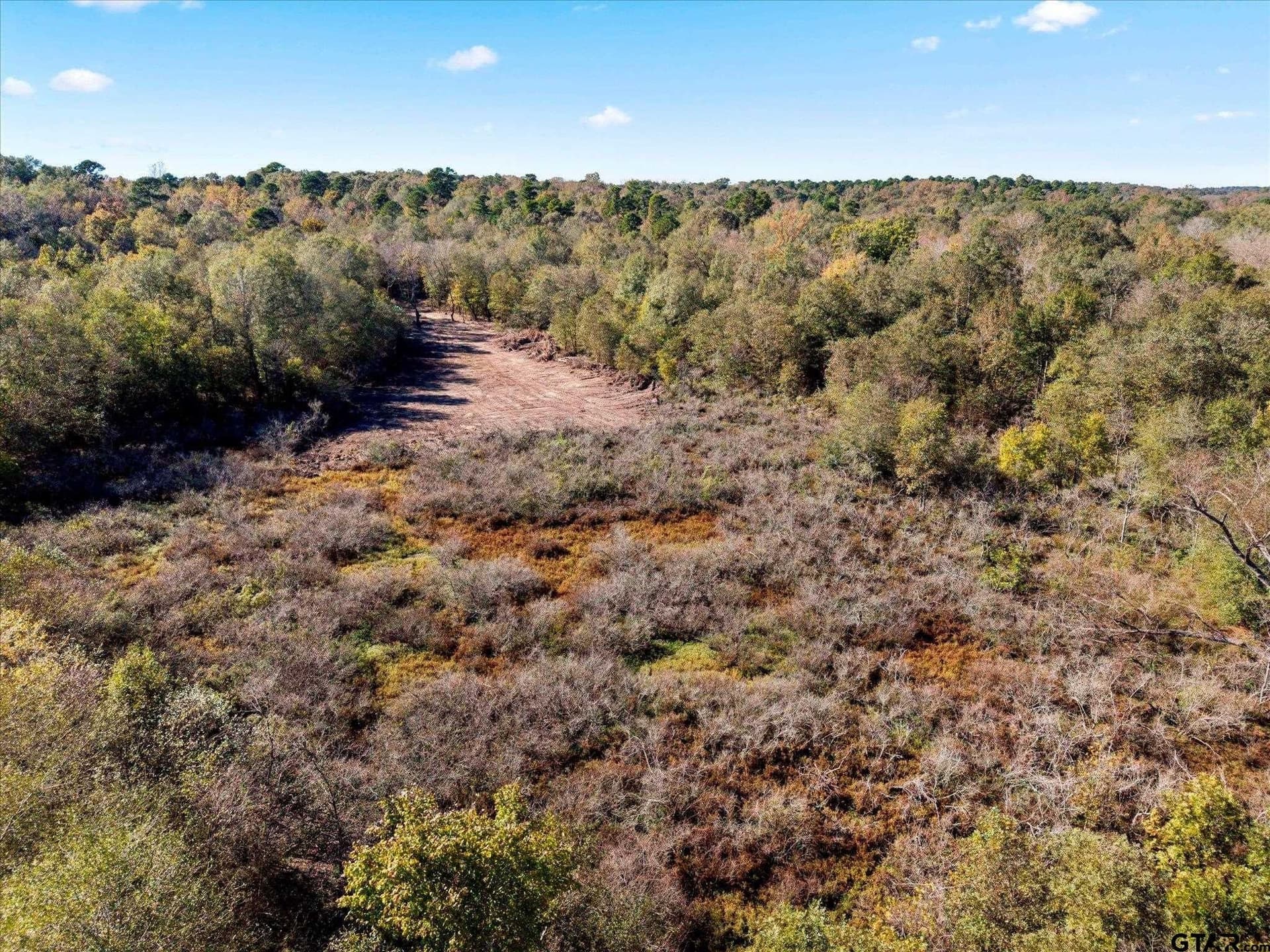 28.13 acres in Upshur County - photo 22