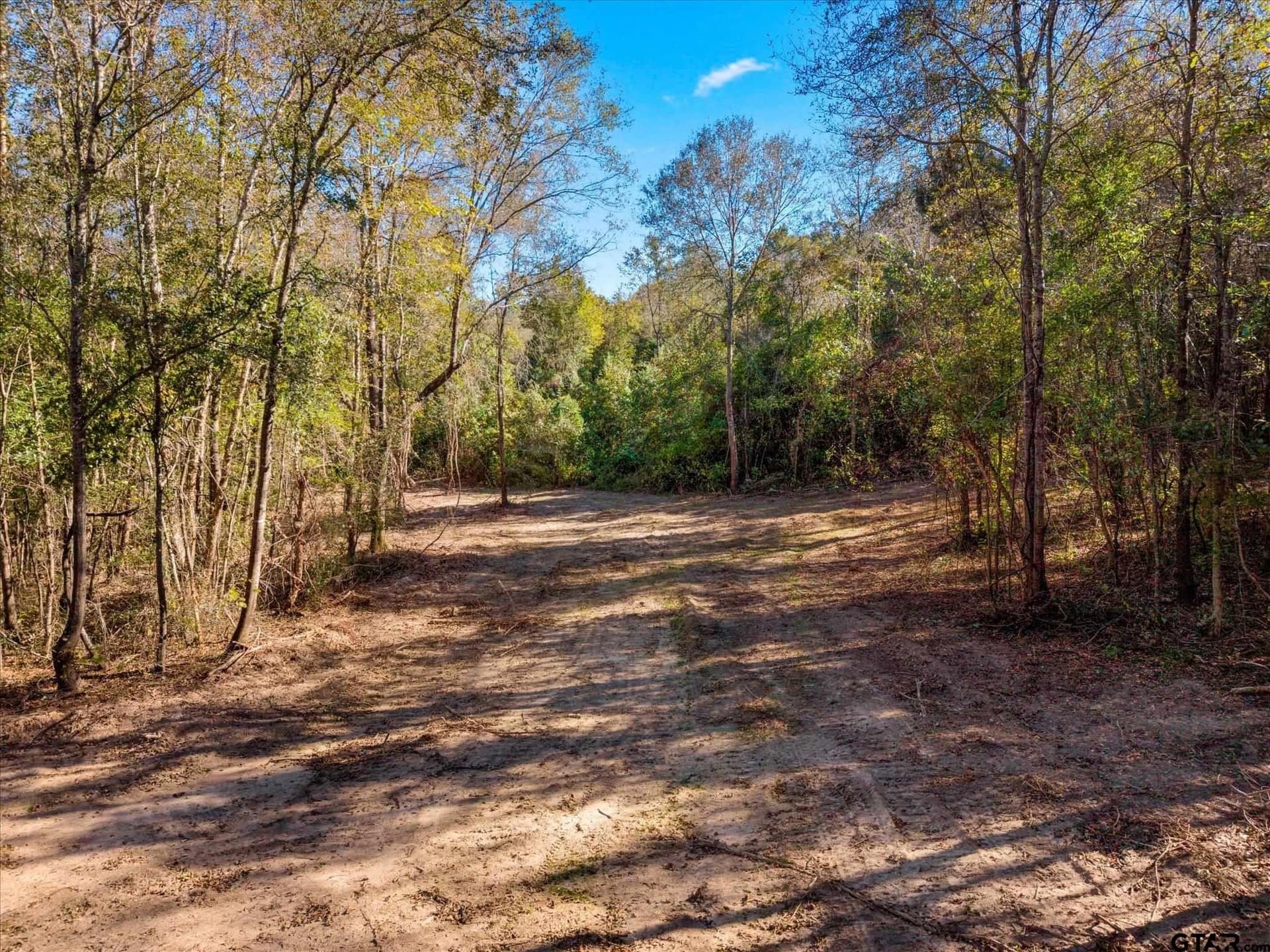 28.13 acres in Upshur County - photo 6