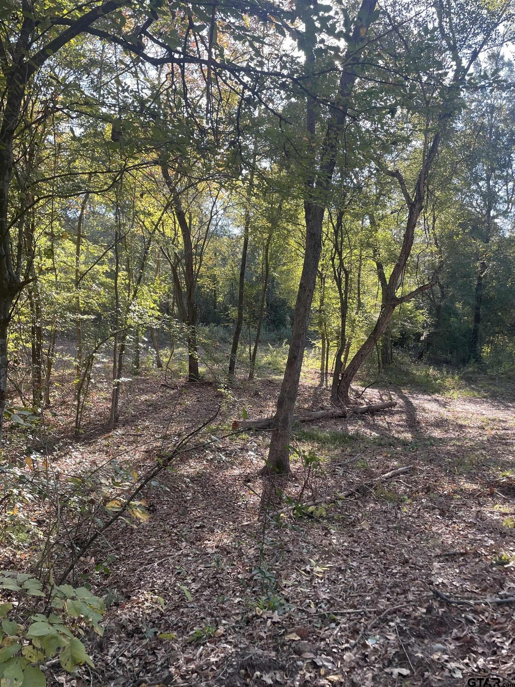 28.13 acres in Upshur County - photo 10
