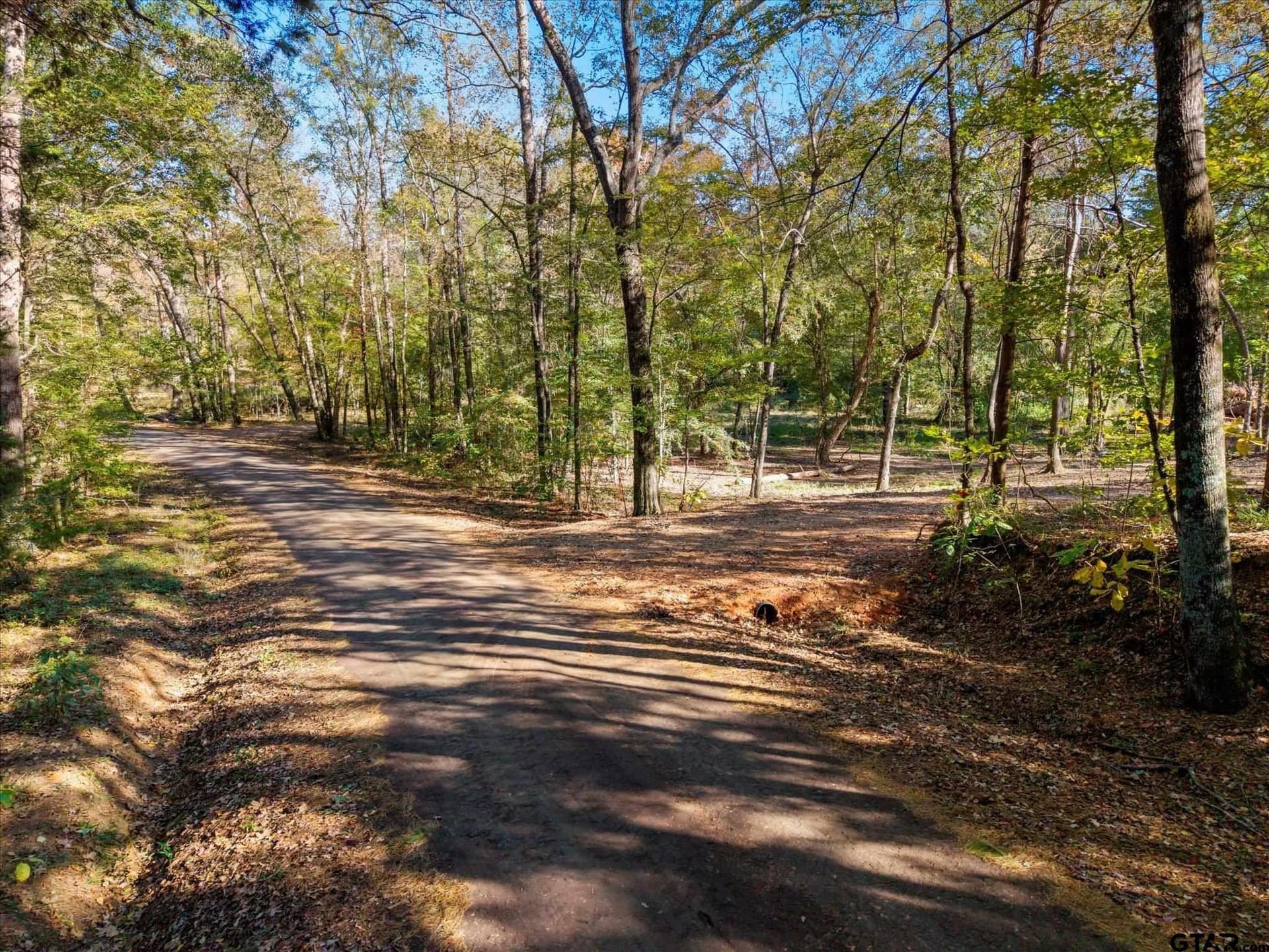 28.13 acres in Upshur County - photo 14