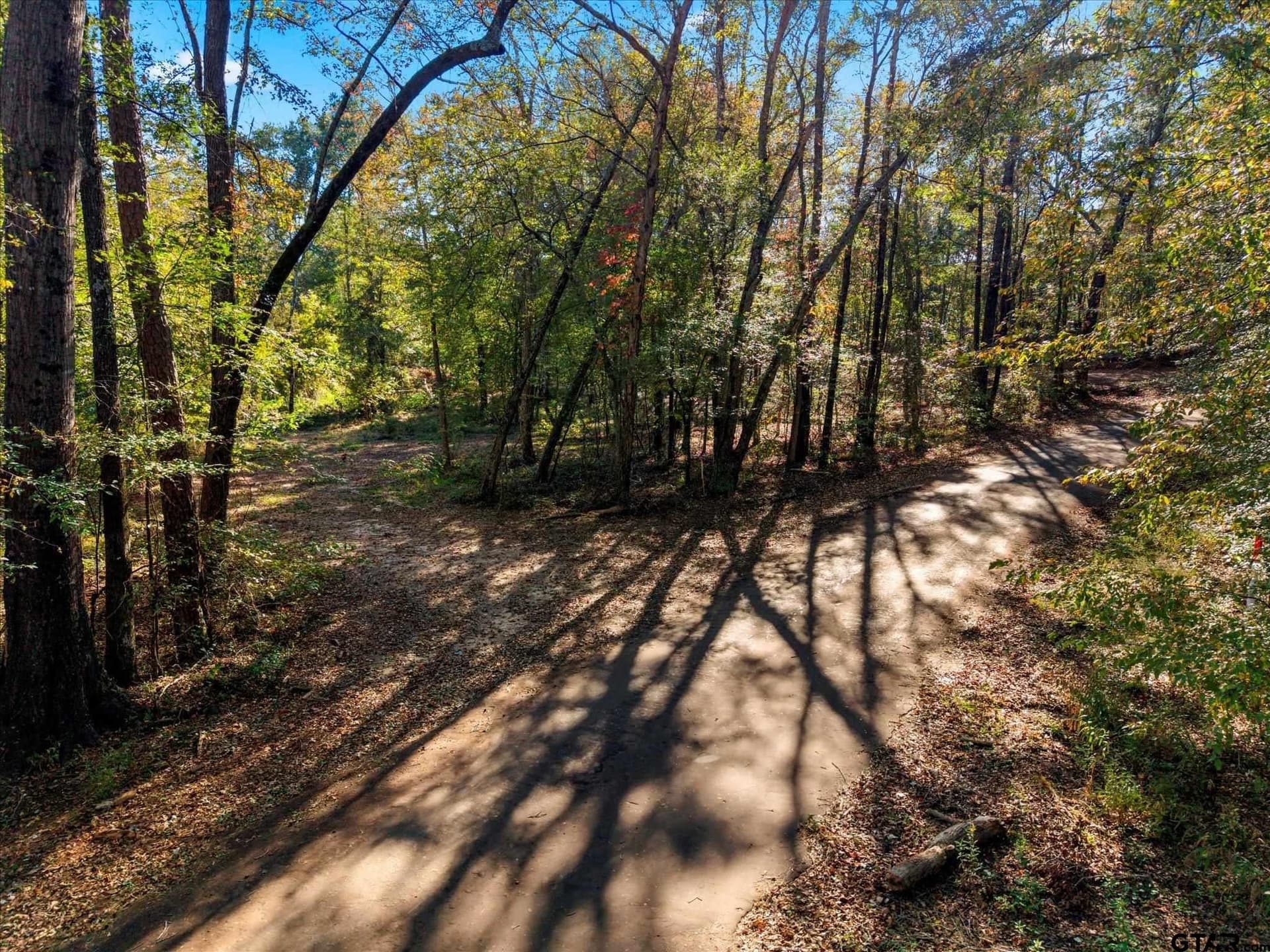 28.13 acres in Upshur County - photo 29