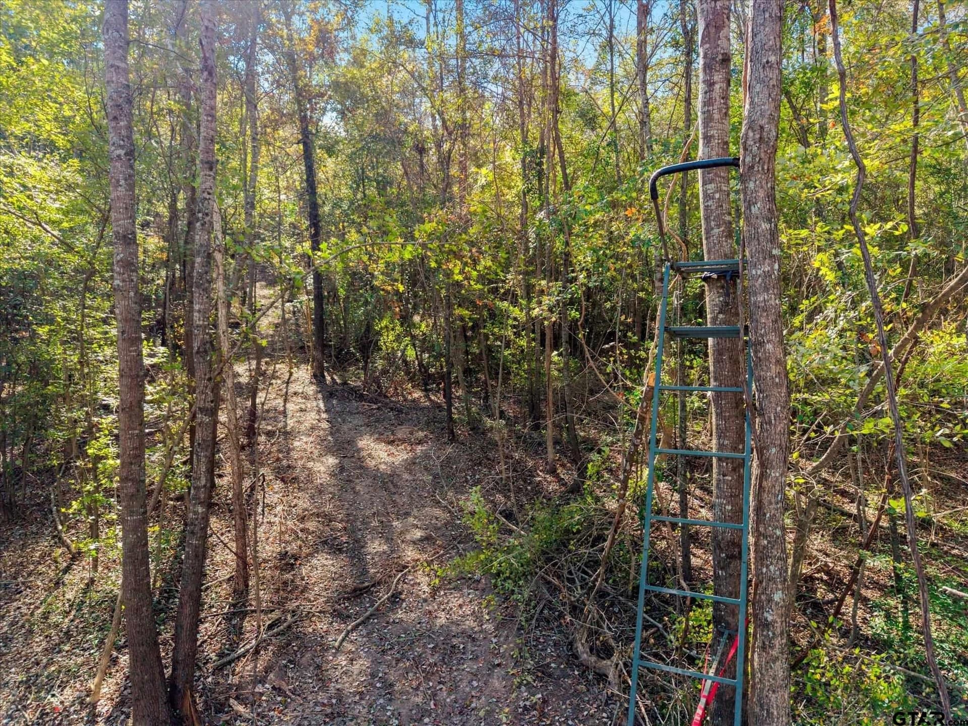 28.13 acres in Upshur County - photo 18