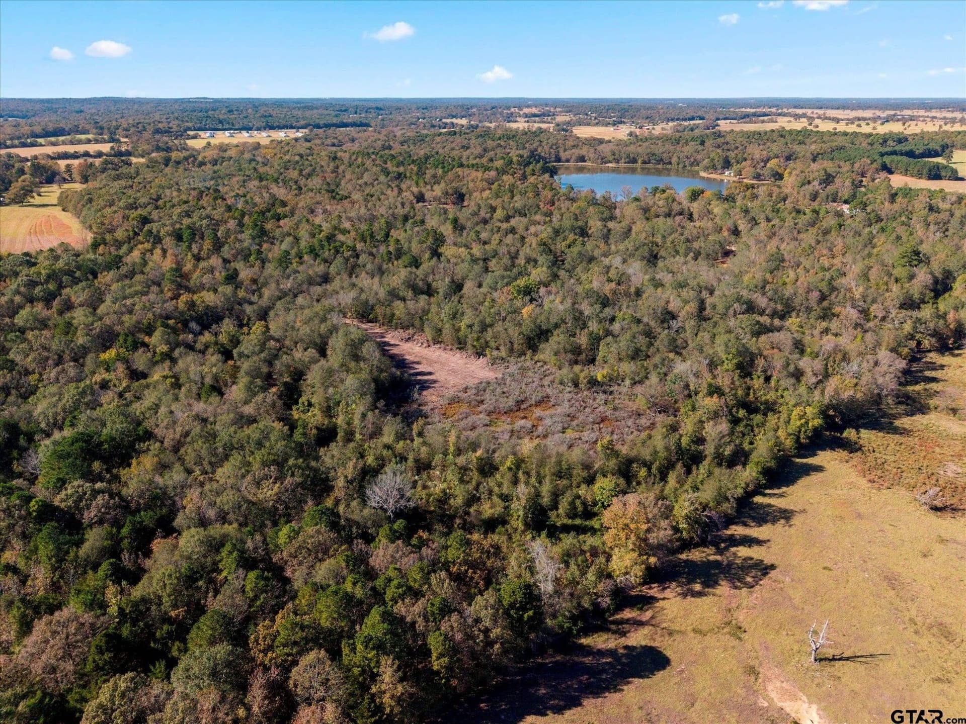 28.13 acres in Upshur County - photo 33