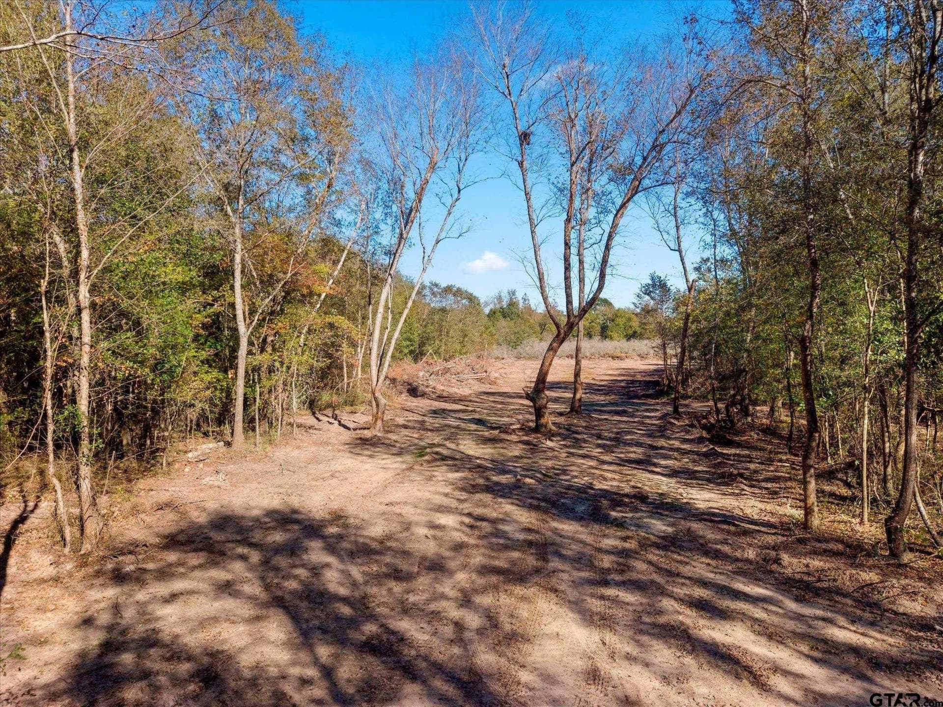 28.13 acres in Upshur County - photo 20