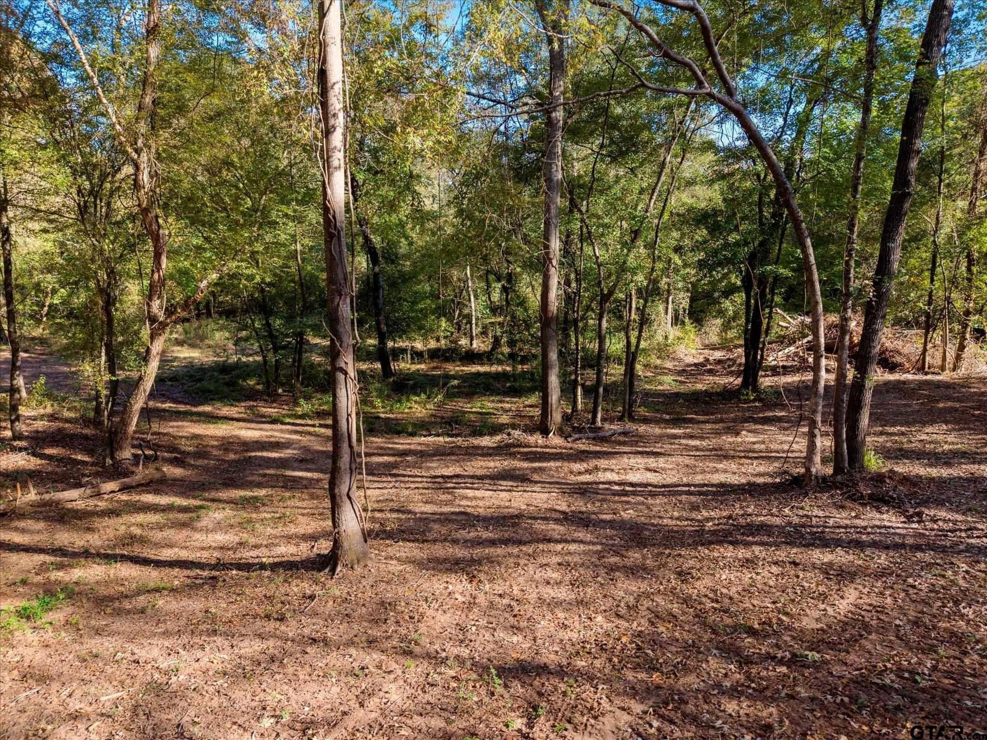 28.13 acres in Upshur County - photo 12