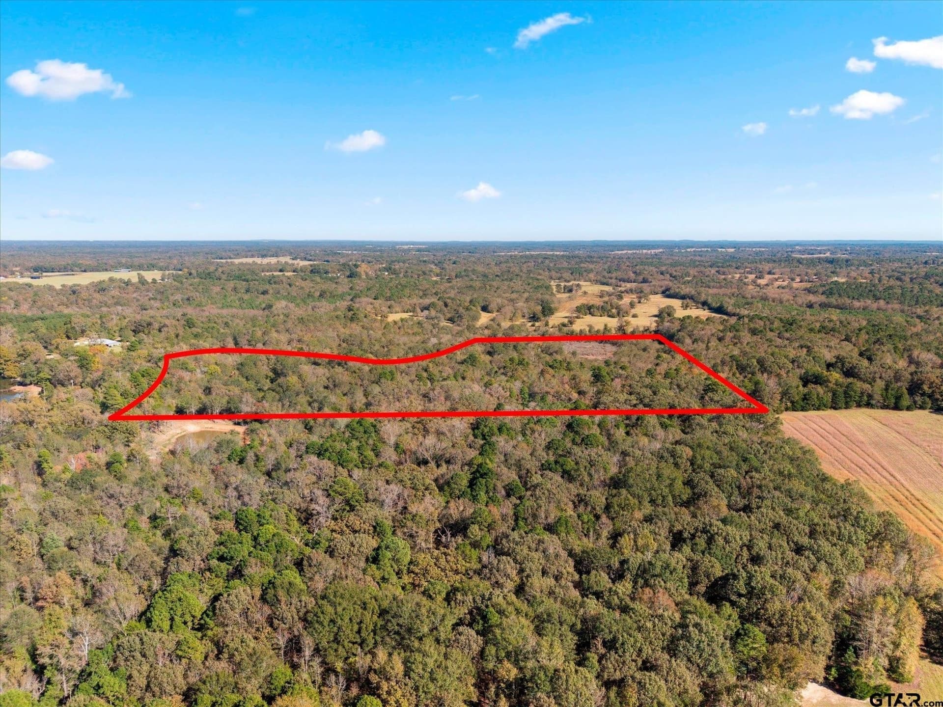 28.13 acres in Upshur County - photo 24