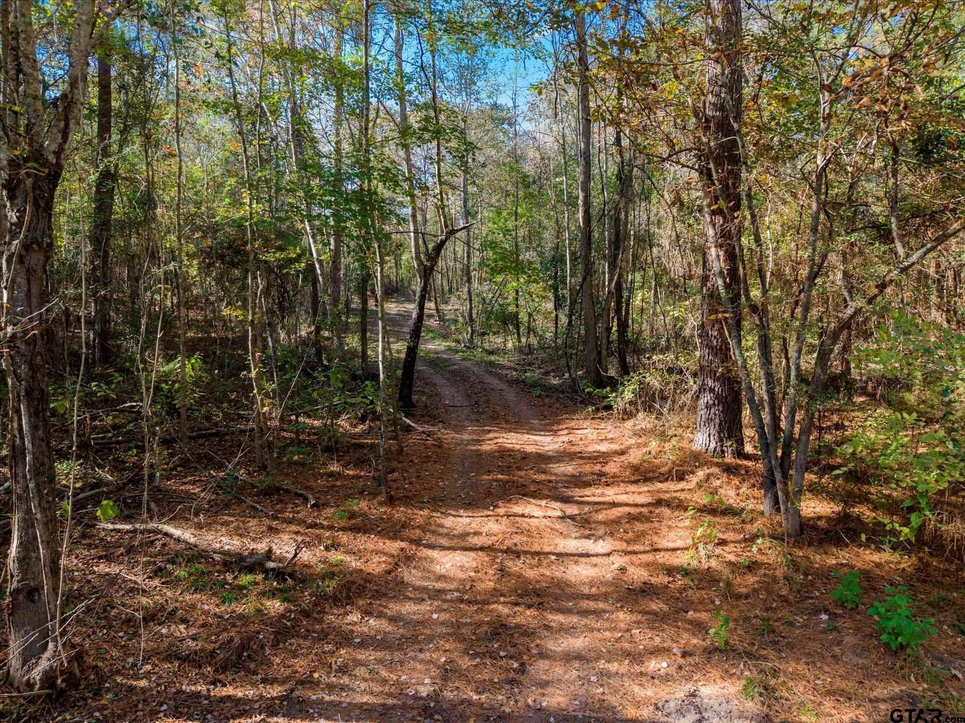 28.13 acres in Upshur County - photo 15