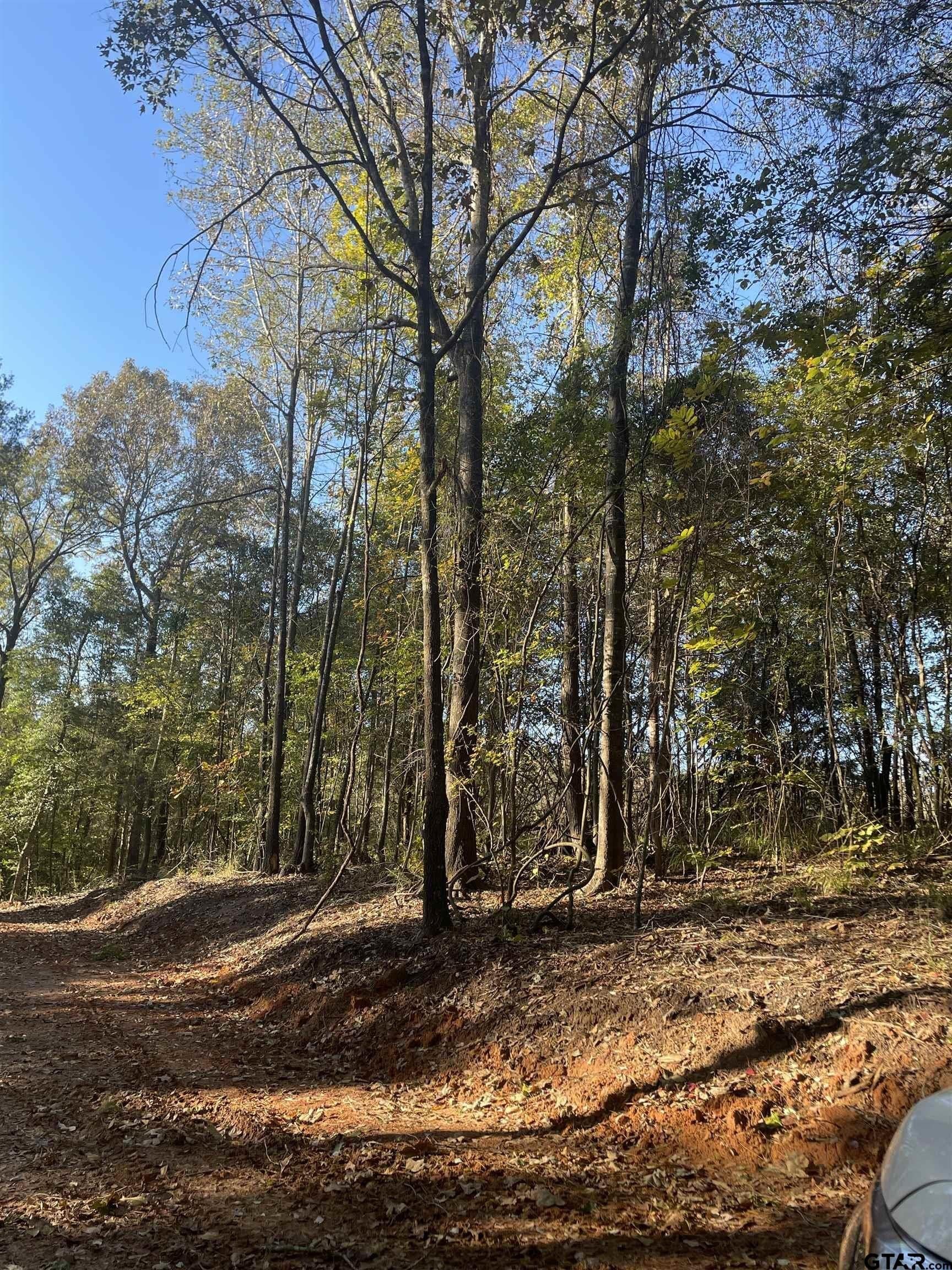 28.13 acres in Upshur County - photo 28